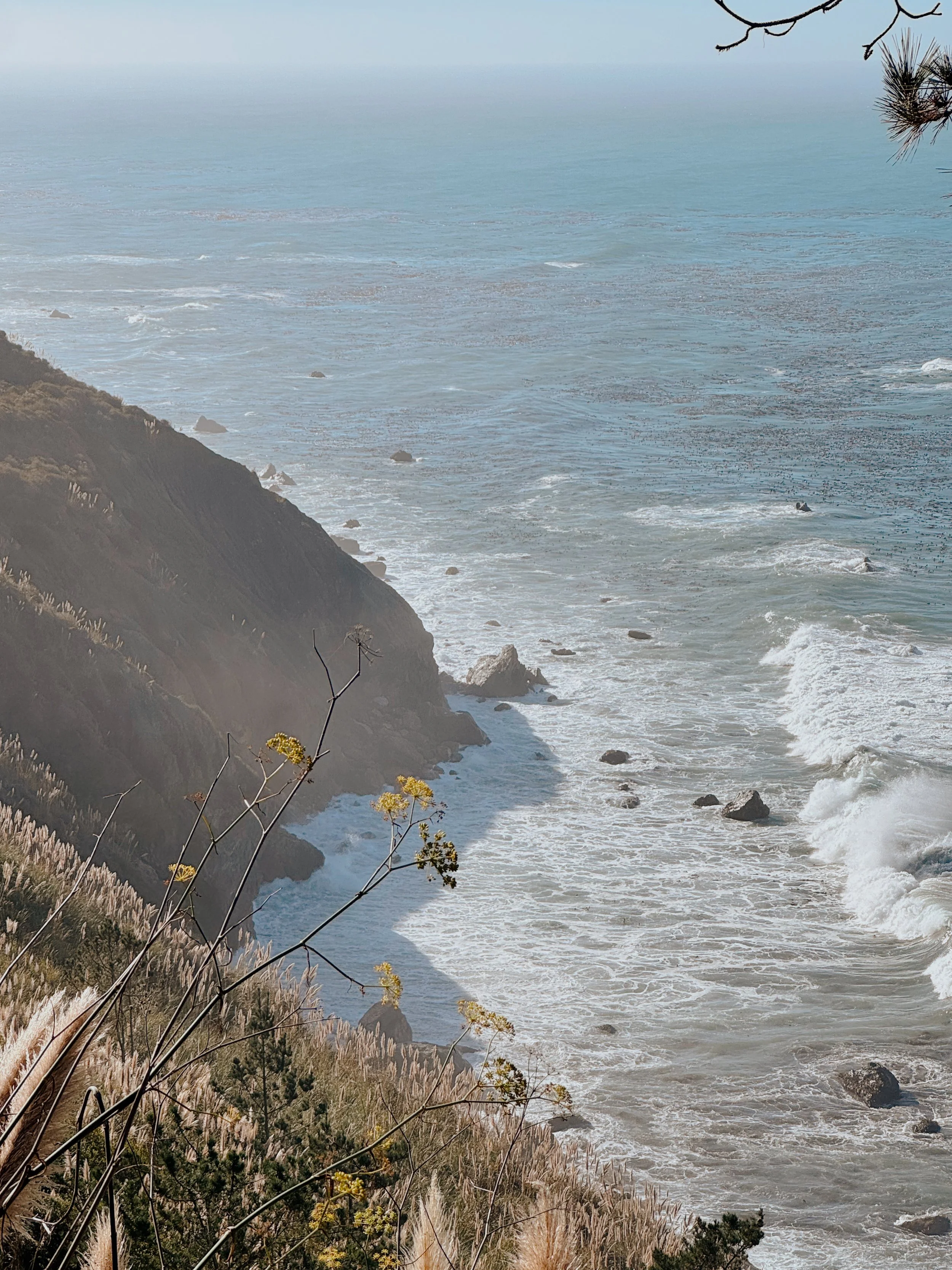 Coastal scene with waves crashing against rocky cliffs, sparse vegetation, and a misty horizon in the background.