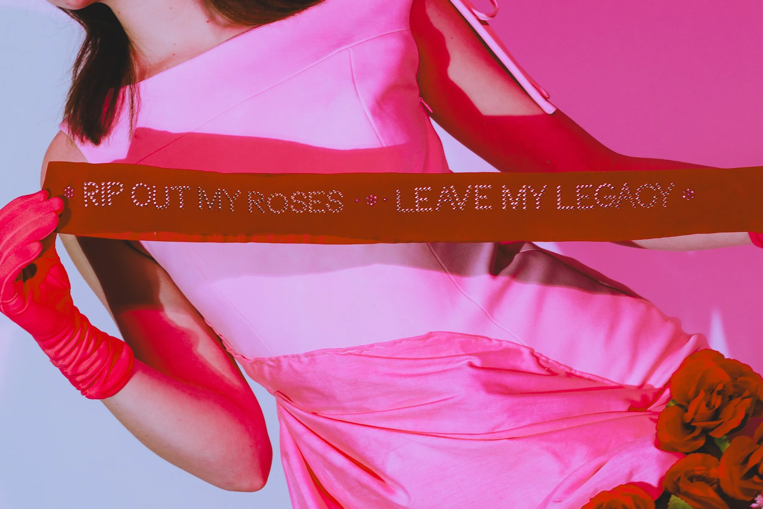 Person in a pink outfit holding a sign that reads “PROTECT MY ROSES • LEAVE MY LESBIAN.”