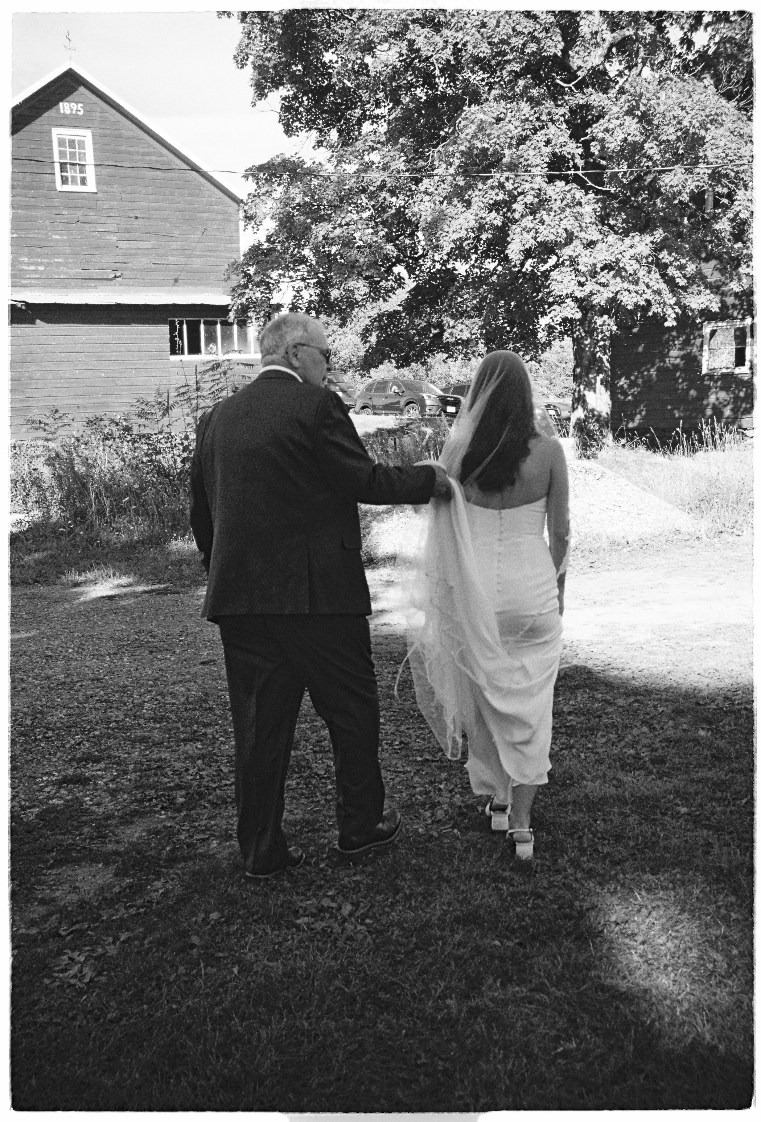 A black and white photo of a man in a suit and glasses holding a woman's hand, who is dressed in a wedding gown with a veil, walking outdoors on a dirt path. There are large trees, a wooden barn with the year 1895 on it, and parked cars in the backgr