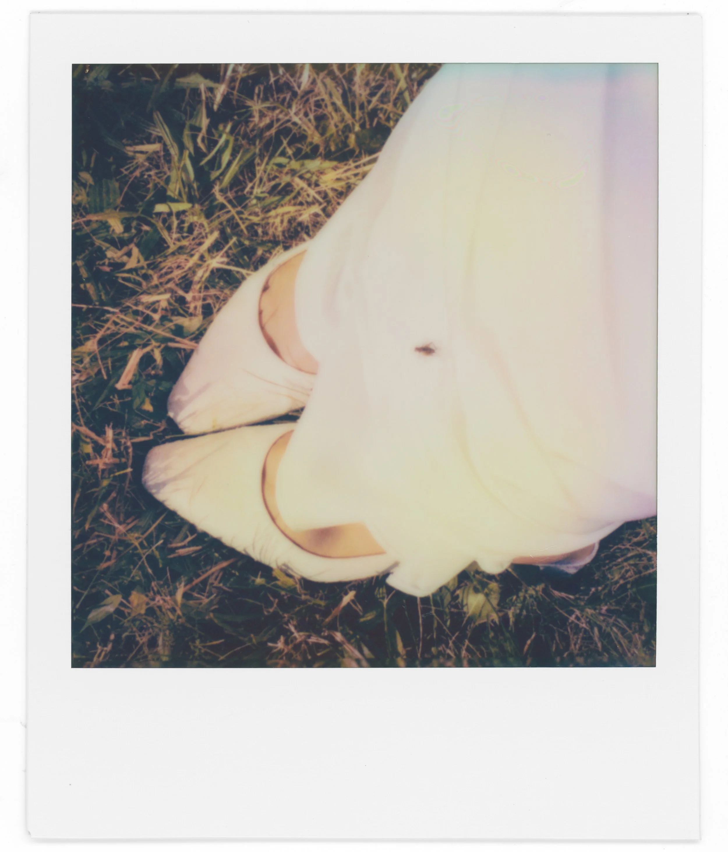 A polaroid-style photo of a person holding a white mushroom while sitting on the grass.
