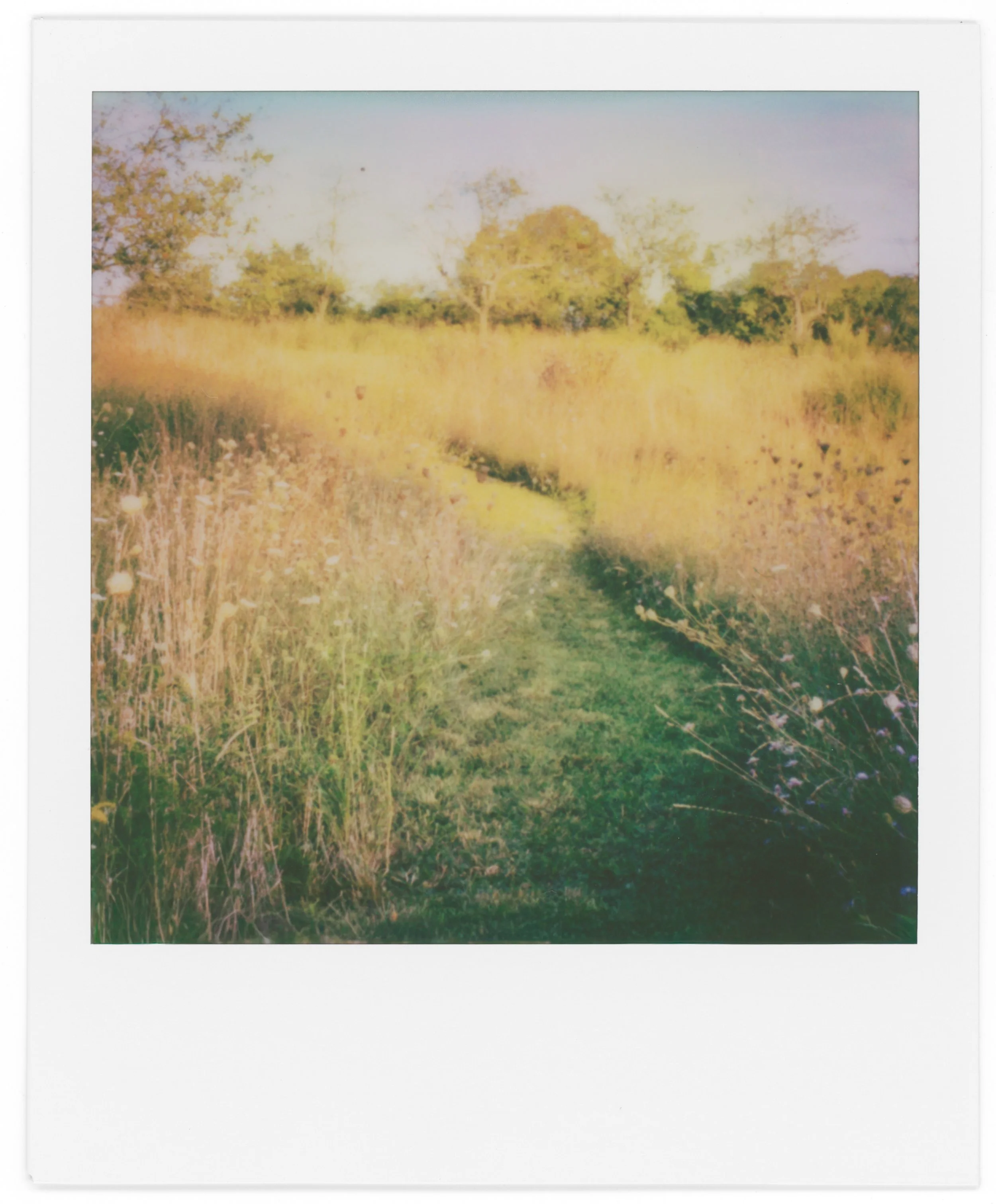 A blurry watercolor painting of a grassy field with trees and a pathway under a pastel-colored sky.