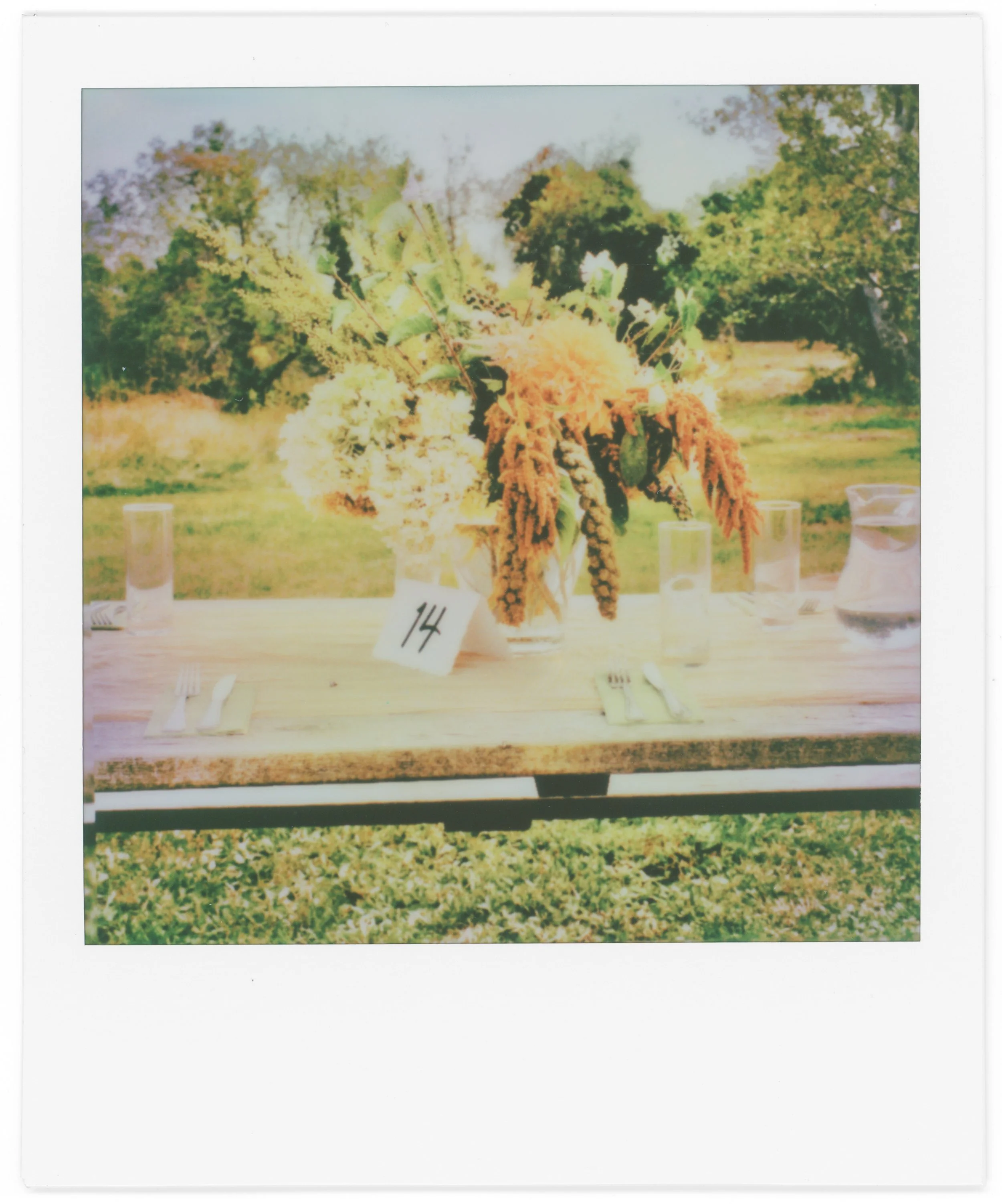 A table set outdoors with a floral centerpiece, glasses of water, and a sign with the number 14 in front of the centerpiece, against a backdrop of trees and a grassy field.