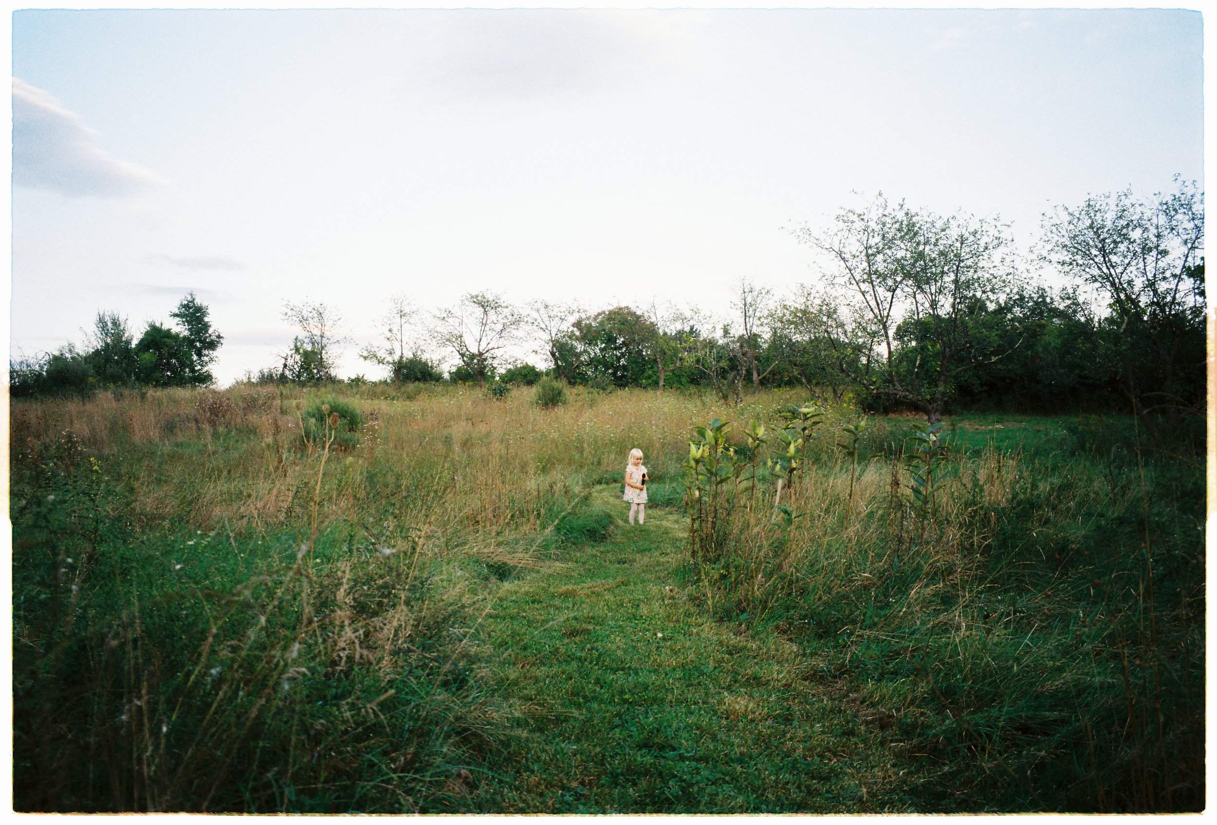 A young girl in a floral dress with blonde hair, standing in a grassy path in a field with trees in the background under a clear sky.