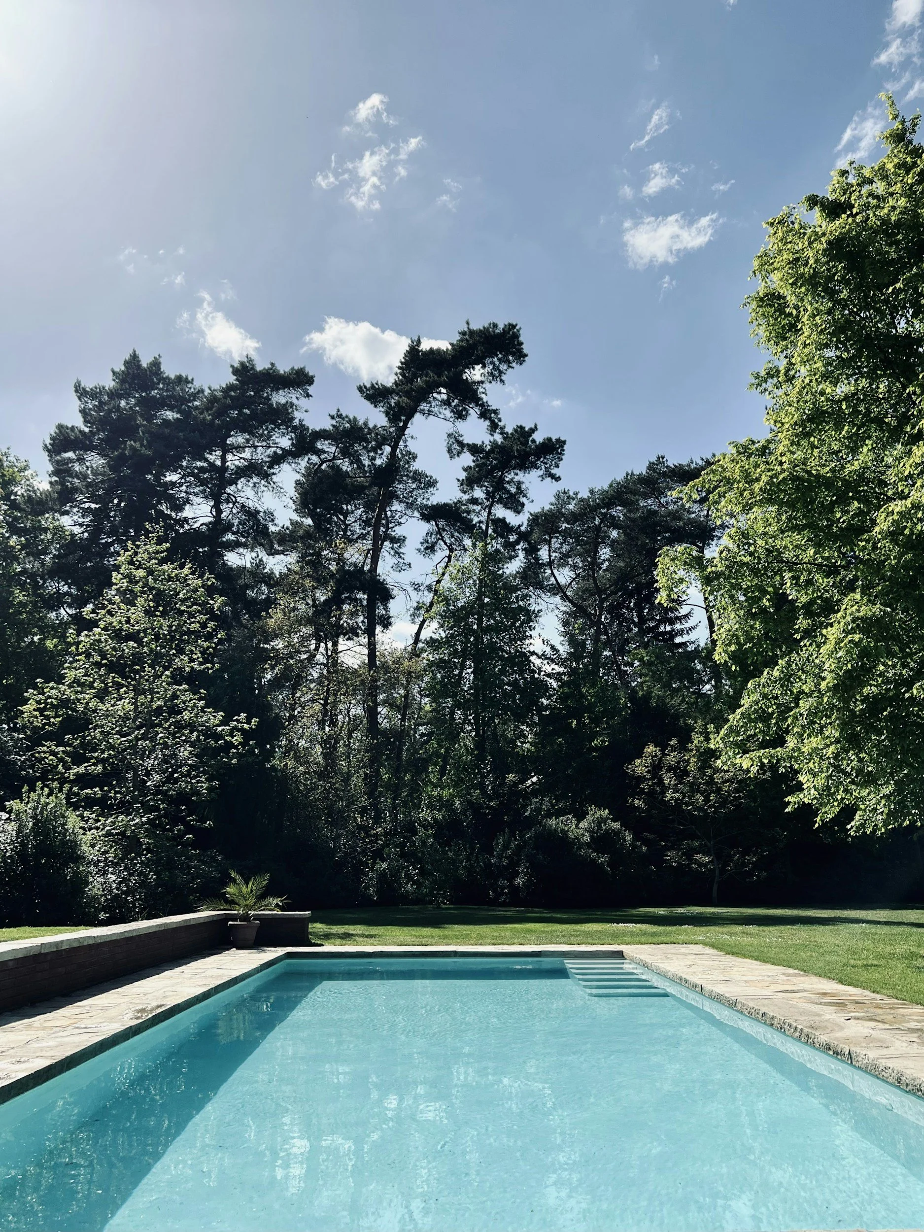 A backyard with a swimming pool, surrounded by a stone deck and lush green trees under a partly cloudy sky.