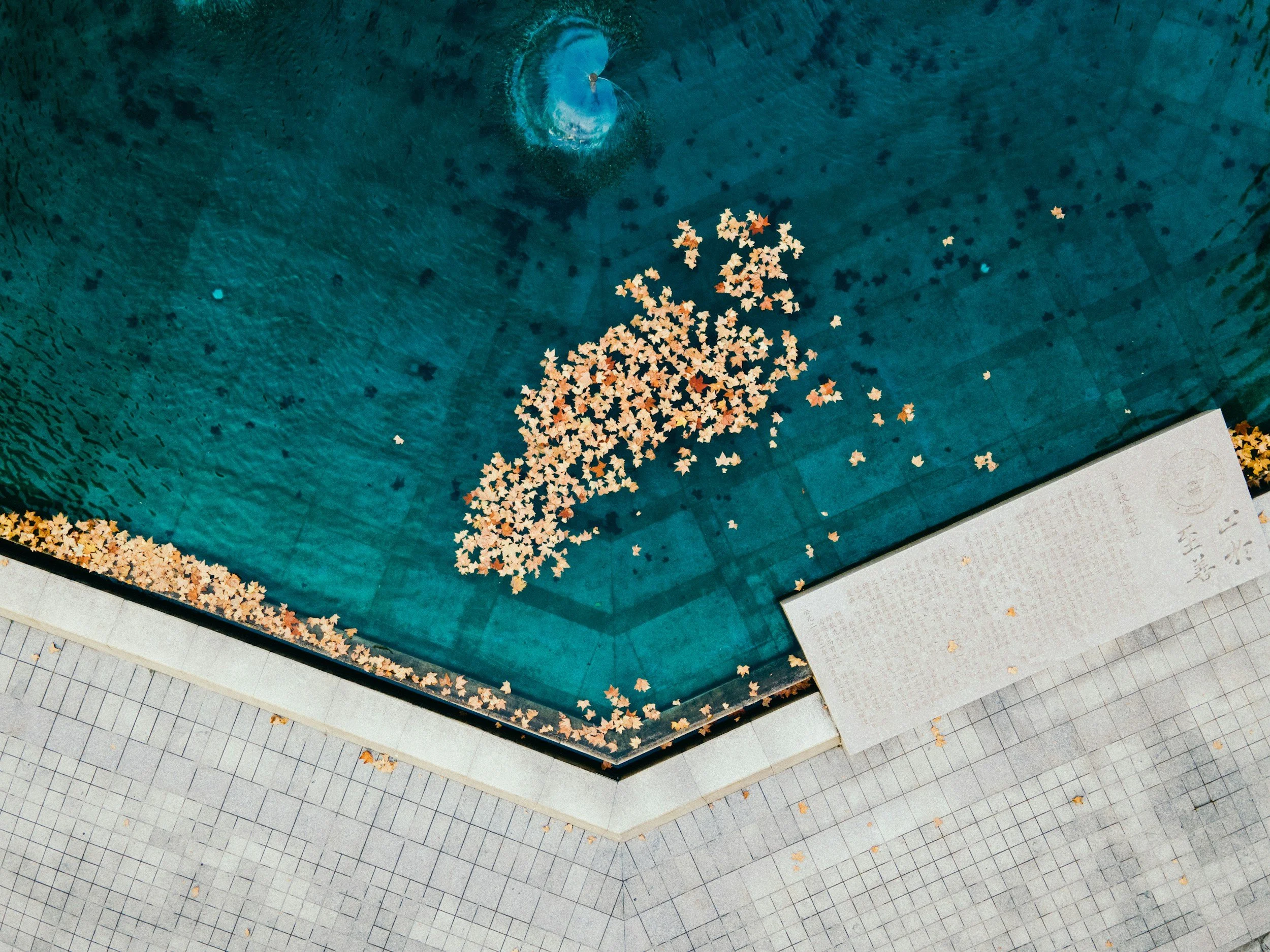 Overhead view of a large indoor space with a deep rectangular pool filled with water. Numerous orange, yellow, and beige autumn leaves are scattered across the water surface and along the edges of the pool. A person is swimming in the middle of the pool. The surrounding floor has gray and white tiles with a grid pattern, and a white sheet with some writing is placed at the bottom right corner of the image.