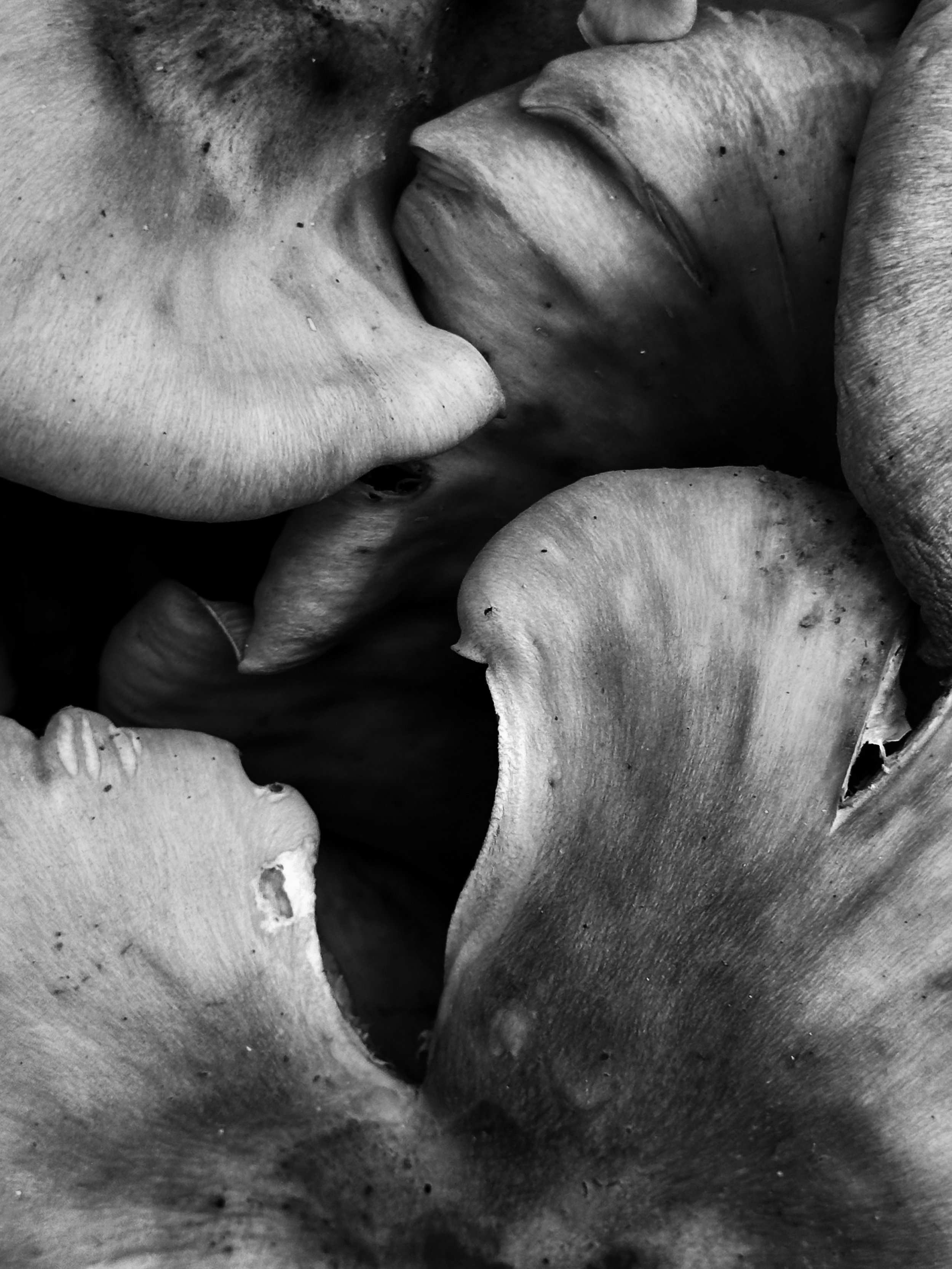 PhotoCollectionB&W (4 of 9).jpg