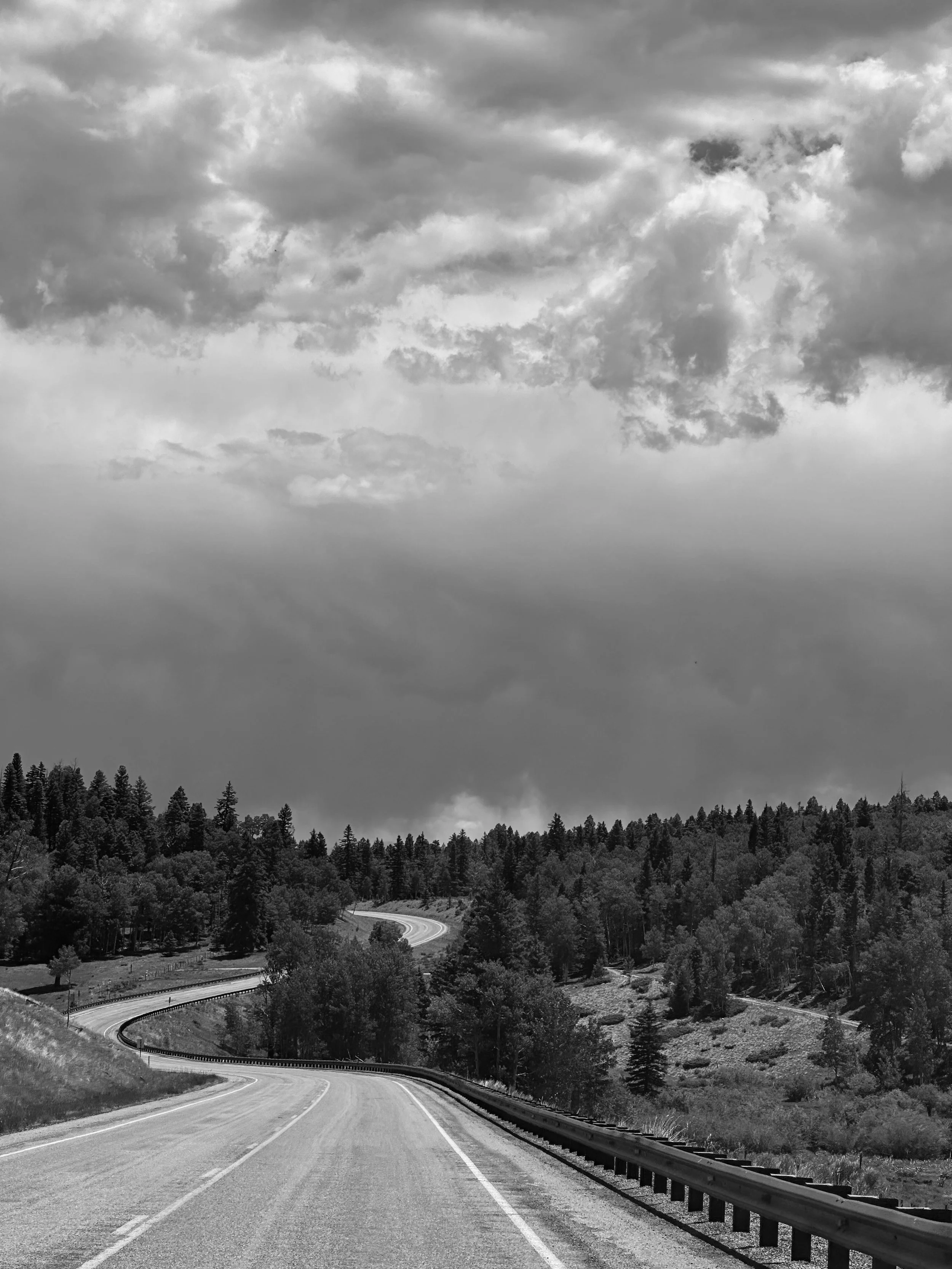 PhotoCollectionB&W (9 of 9).jpg