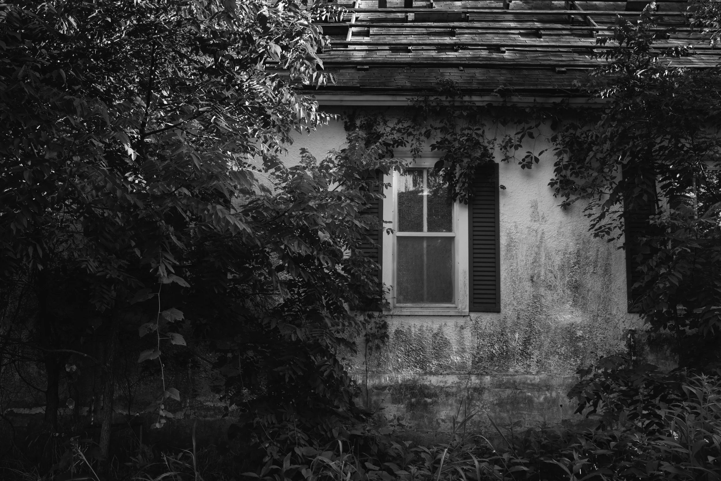 Cassville-Print (44 of 64).jpg