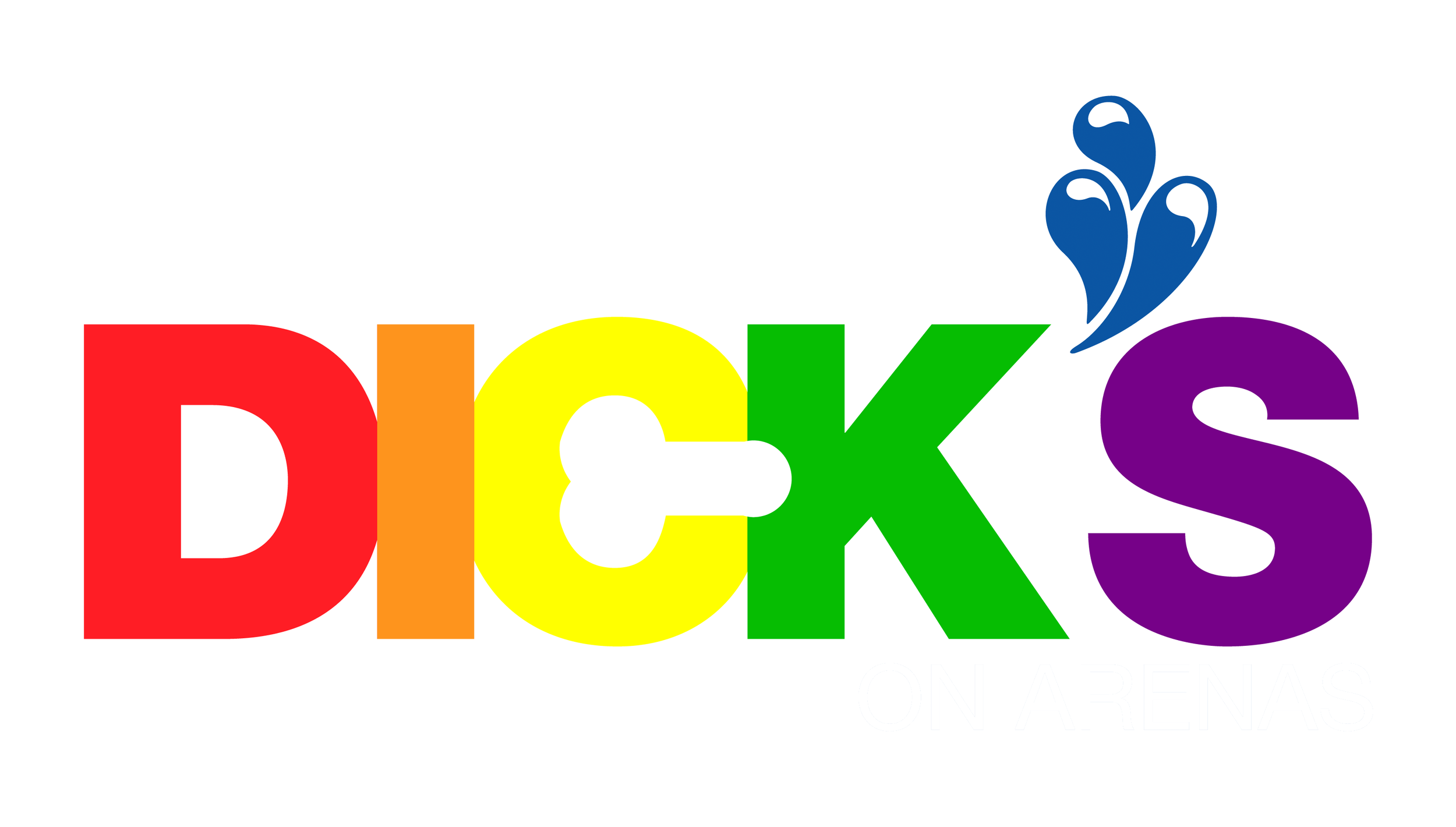 DICK'S LOGO IN RAINBOW COLORS