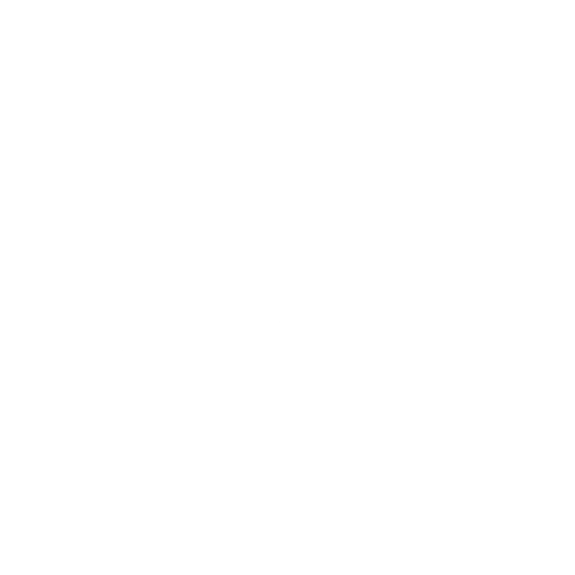 Black logo with the words "AMPEX" in bold letters.