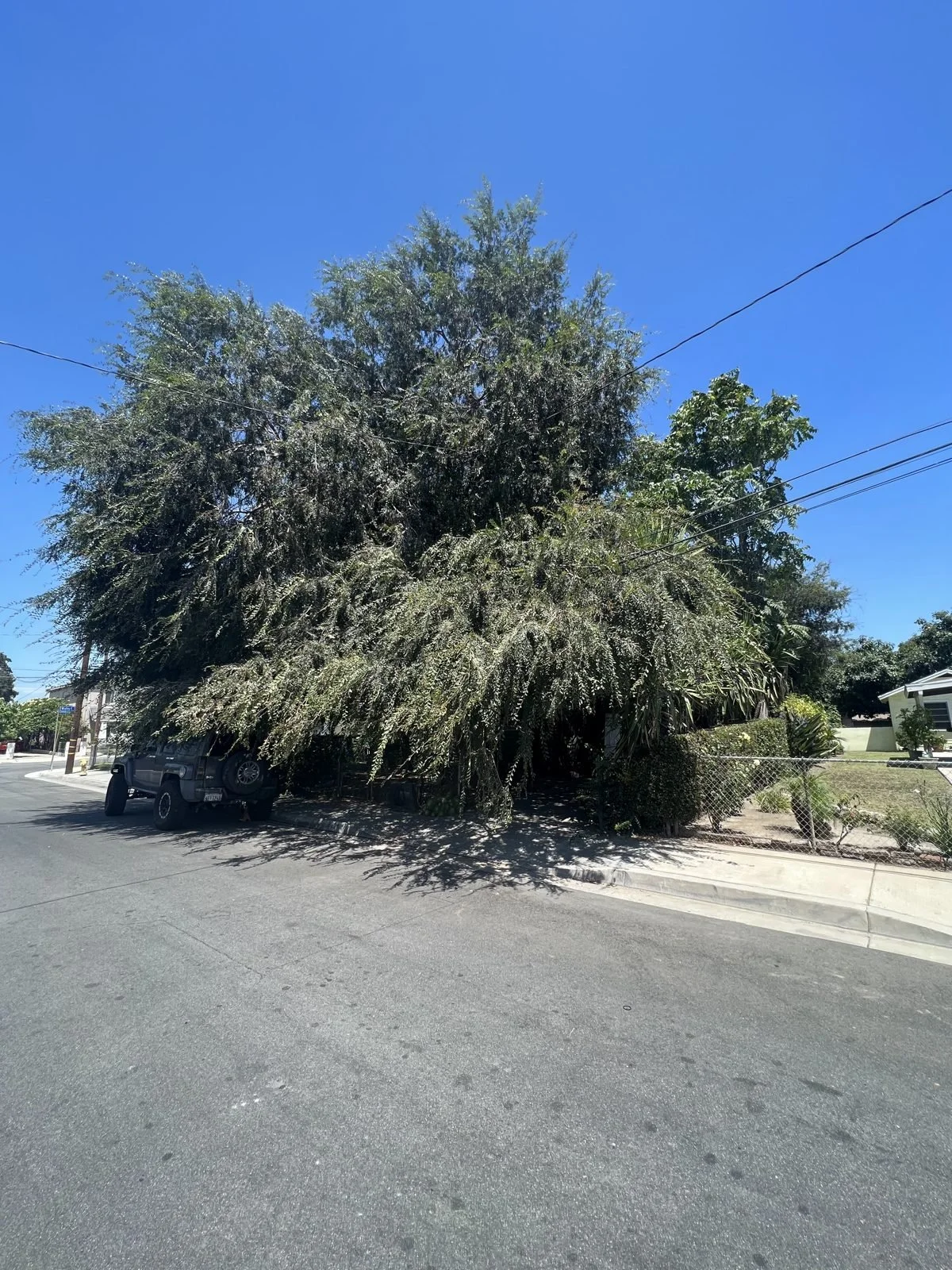 short-whittier__before-01.jpg