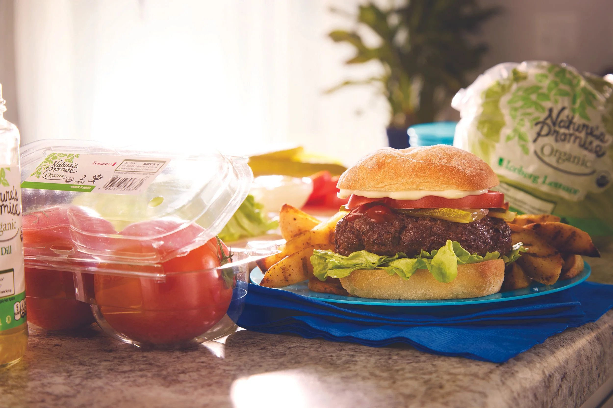 Food Lion Tabletop NP Grilling Meat.jpg