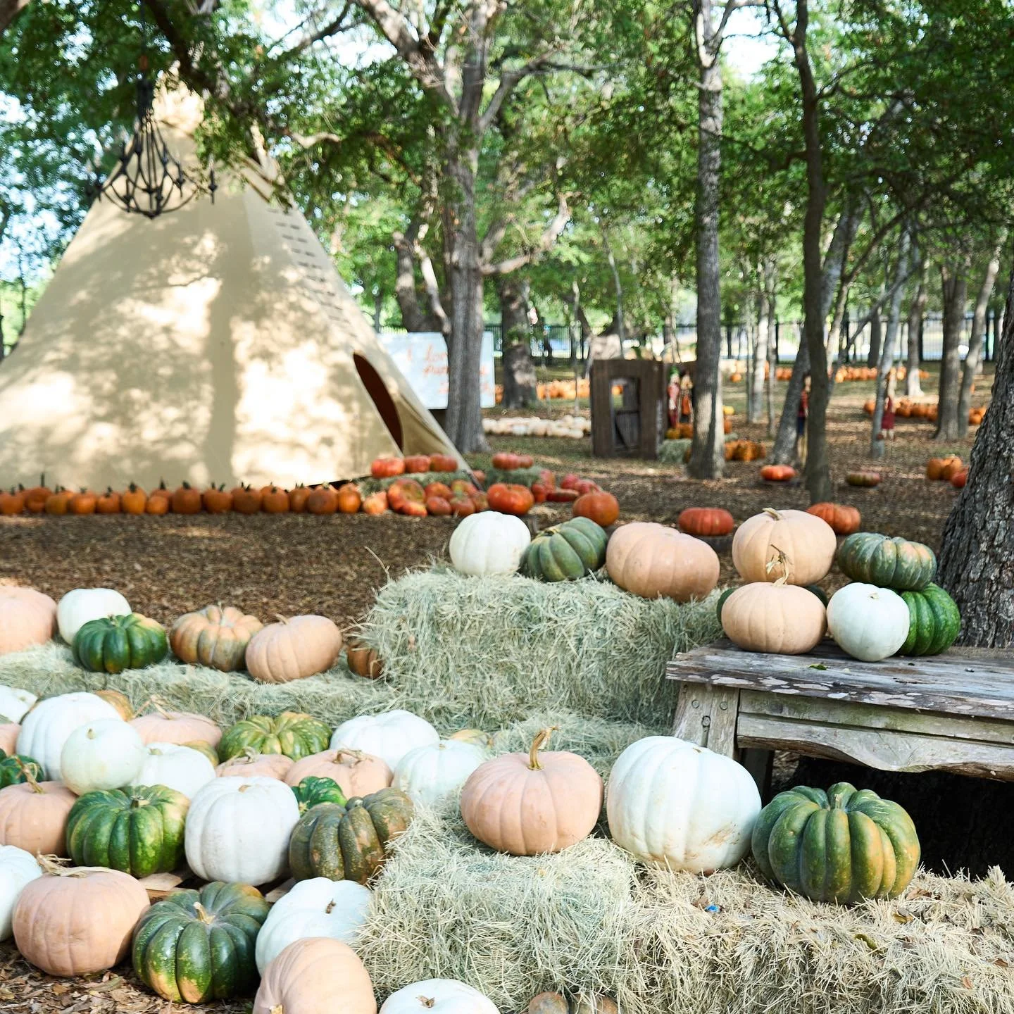 Fall Family Festival at Indian Springs Ranch