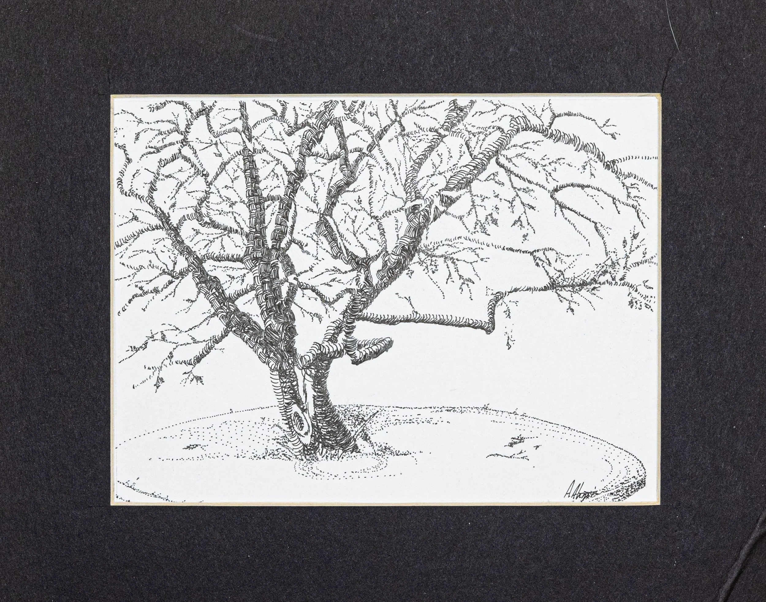 Winter Branches