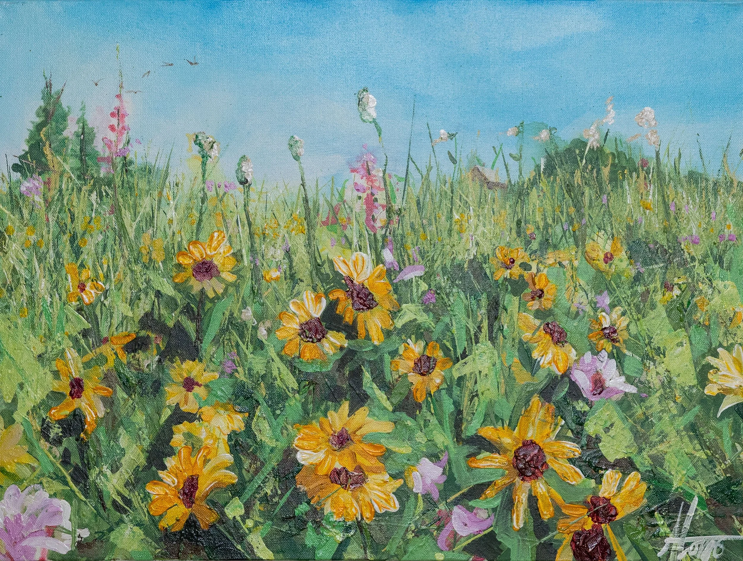 Field Of Flowers