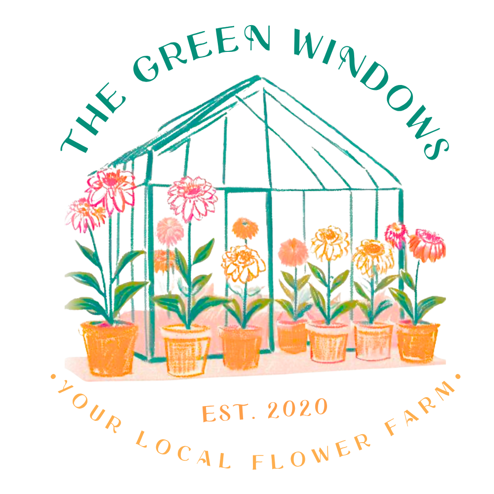 the green windows
