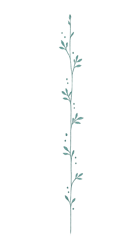 A vertical sprig with small leaves and dots, drawn in a light teal color on a black background.