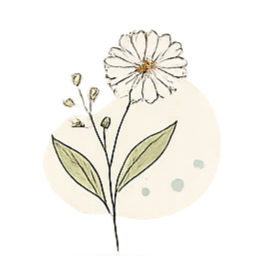 Illustration of a delicate plant with leaves and a large flower, featuring subtle watercolor-style details.