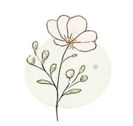 A simple illustration of a white flower with leaves and buds.