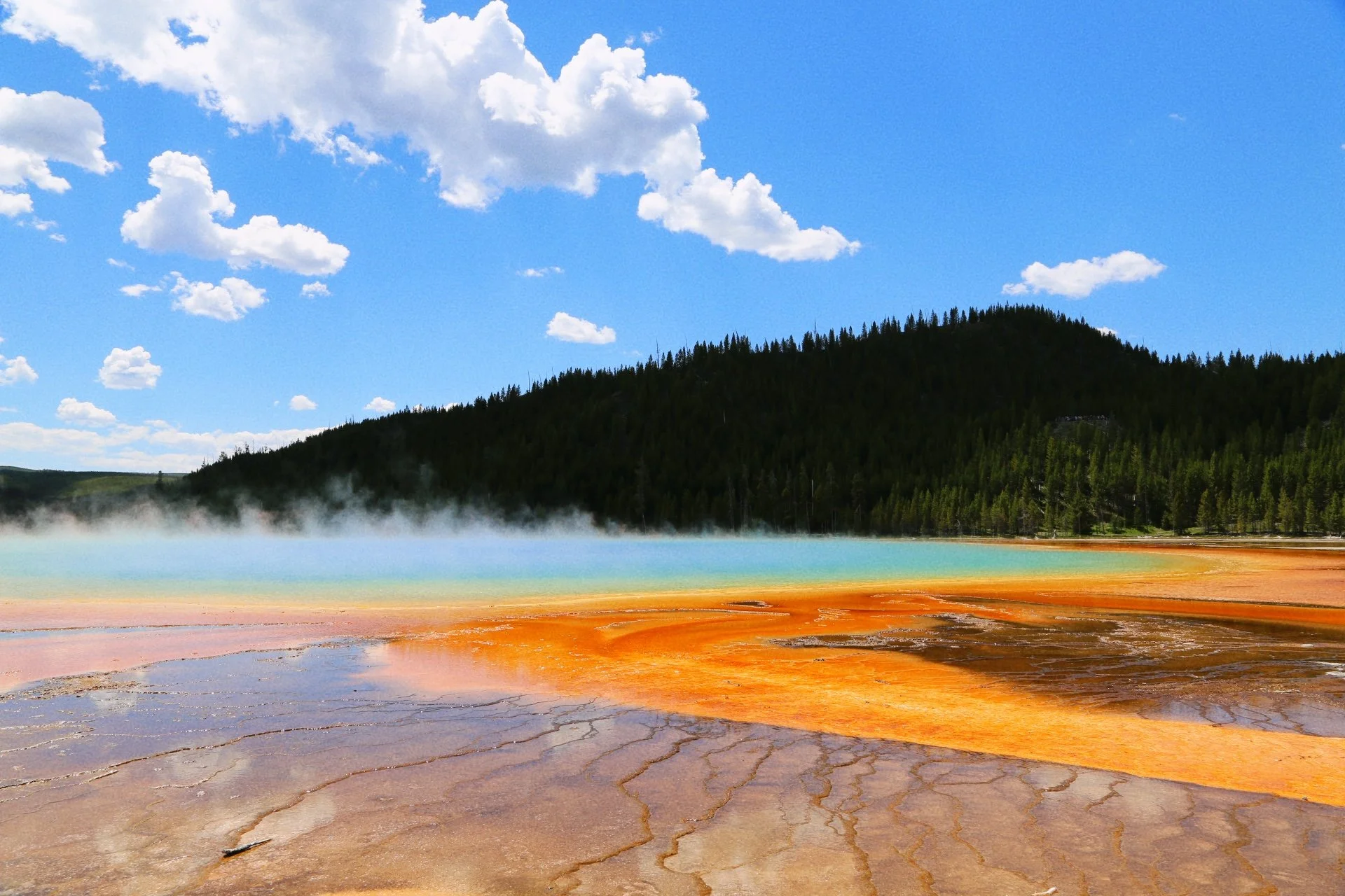 Colorful hot spring with orange, yellow, green, and blue waters in a geothermal area, surrounded by a lush green forest and a mountain under a partly cloudy sky.