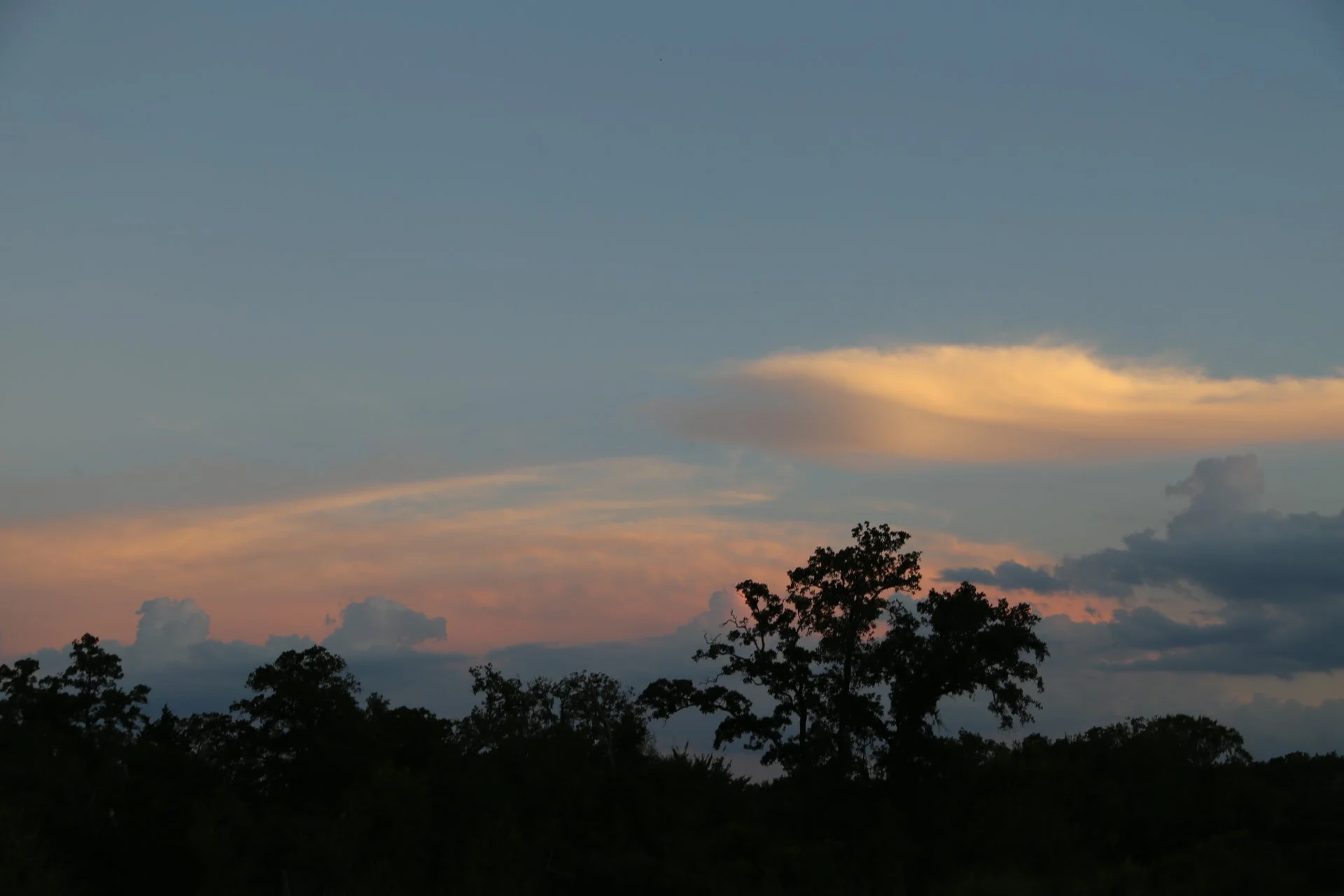 Sunset with scattered clouds over a silhouette of trees.