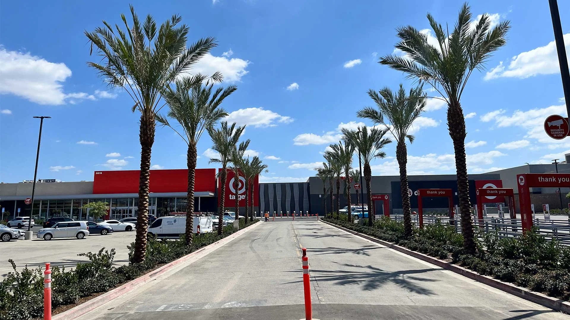Coastline Palms is your trusted source for both commercial and residential palm and olive trees.