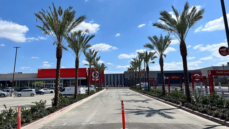 Date Palms at Target in Los Angeles