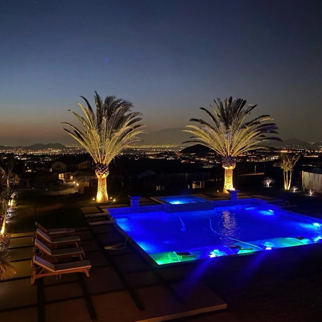 Canary palms surrounding an illuminated swimming pool at night.