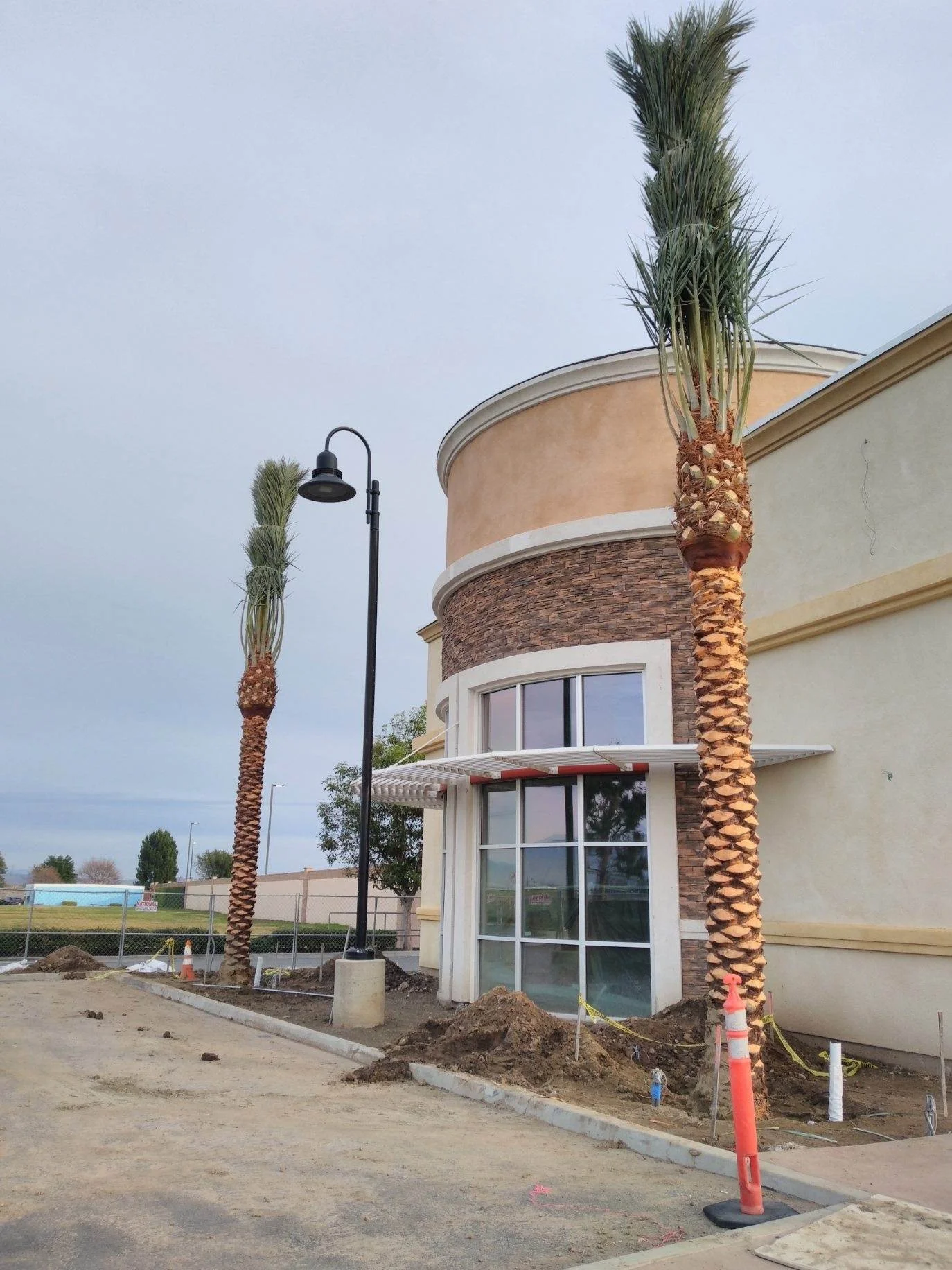 Two palms beside a curved building facade at a construction site.