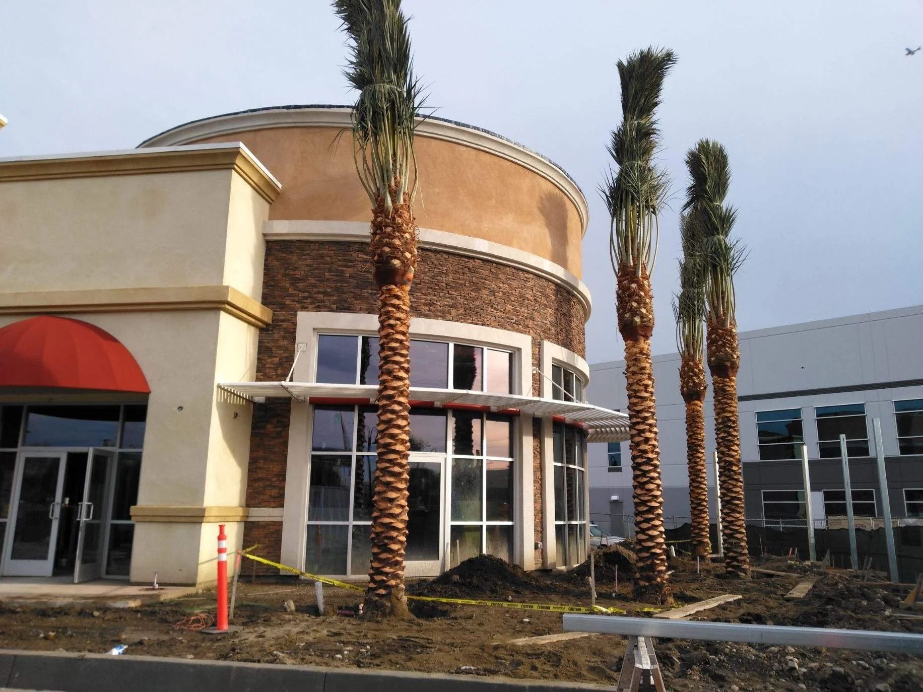 Tall palms beside a commercial building under construction.