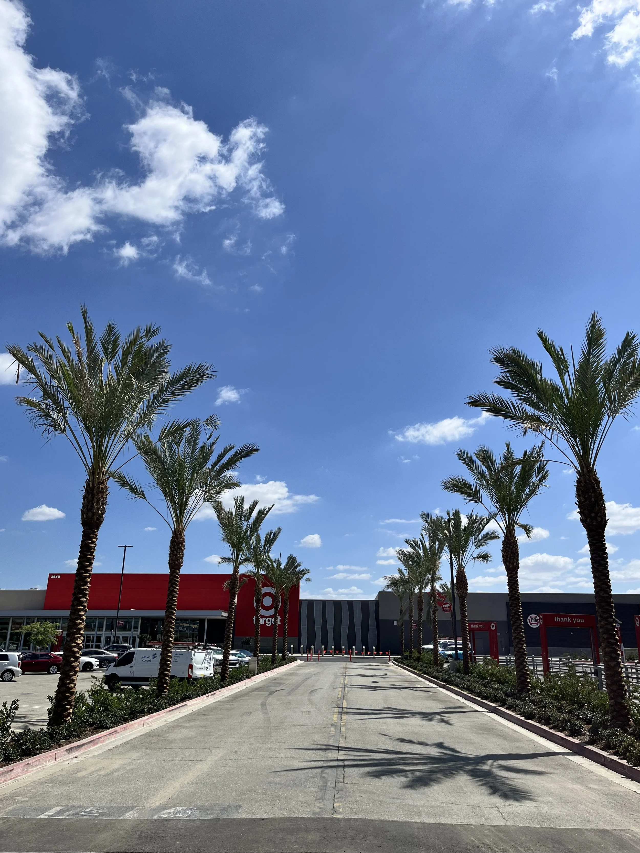Date palms at a Target store entrance and parking area.