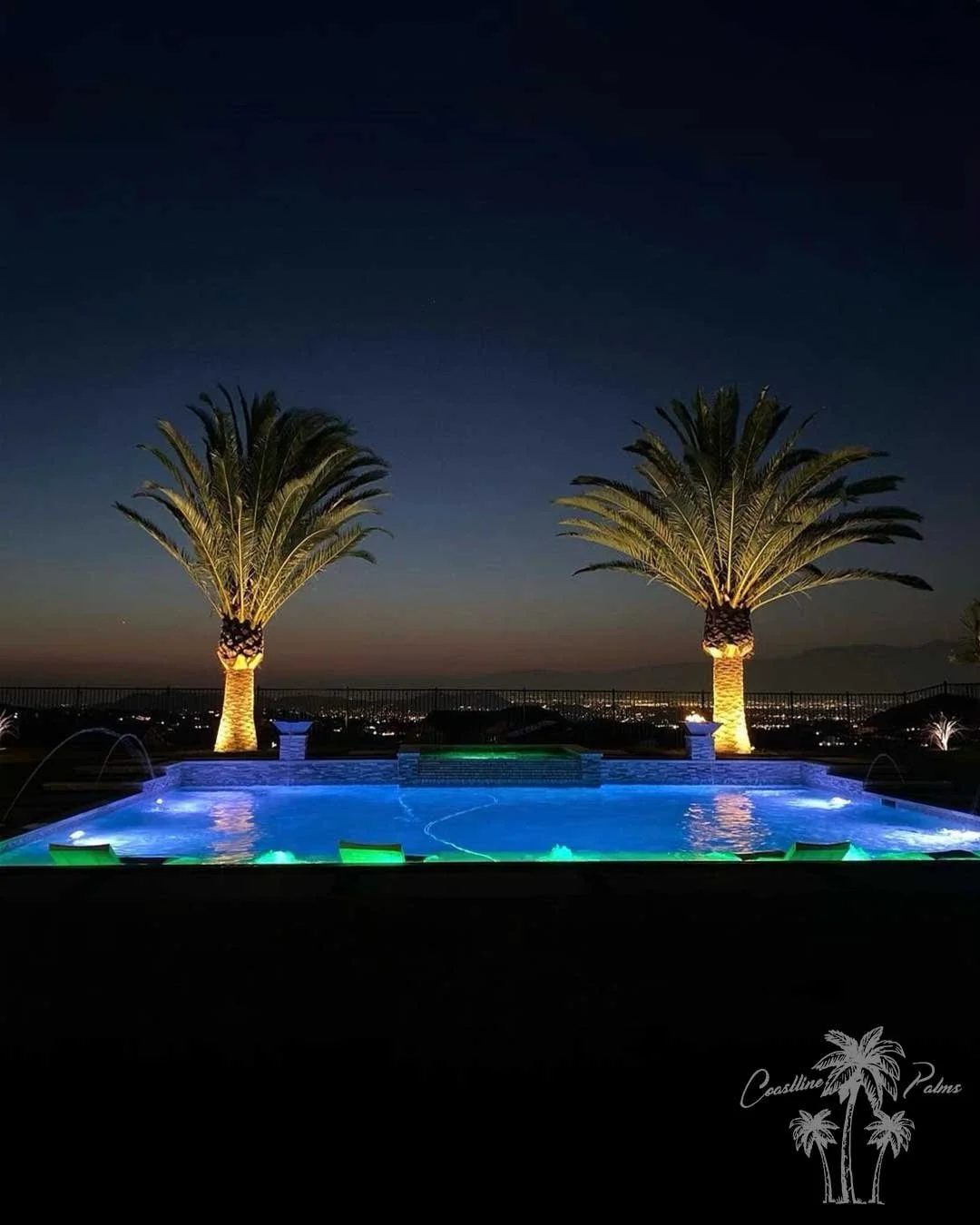 Canary Island Palm, Pineapple Palm, Phoenix Canariensis, Coastline Palm Trees, installed palm trees by the pool