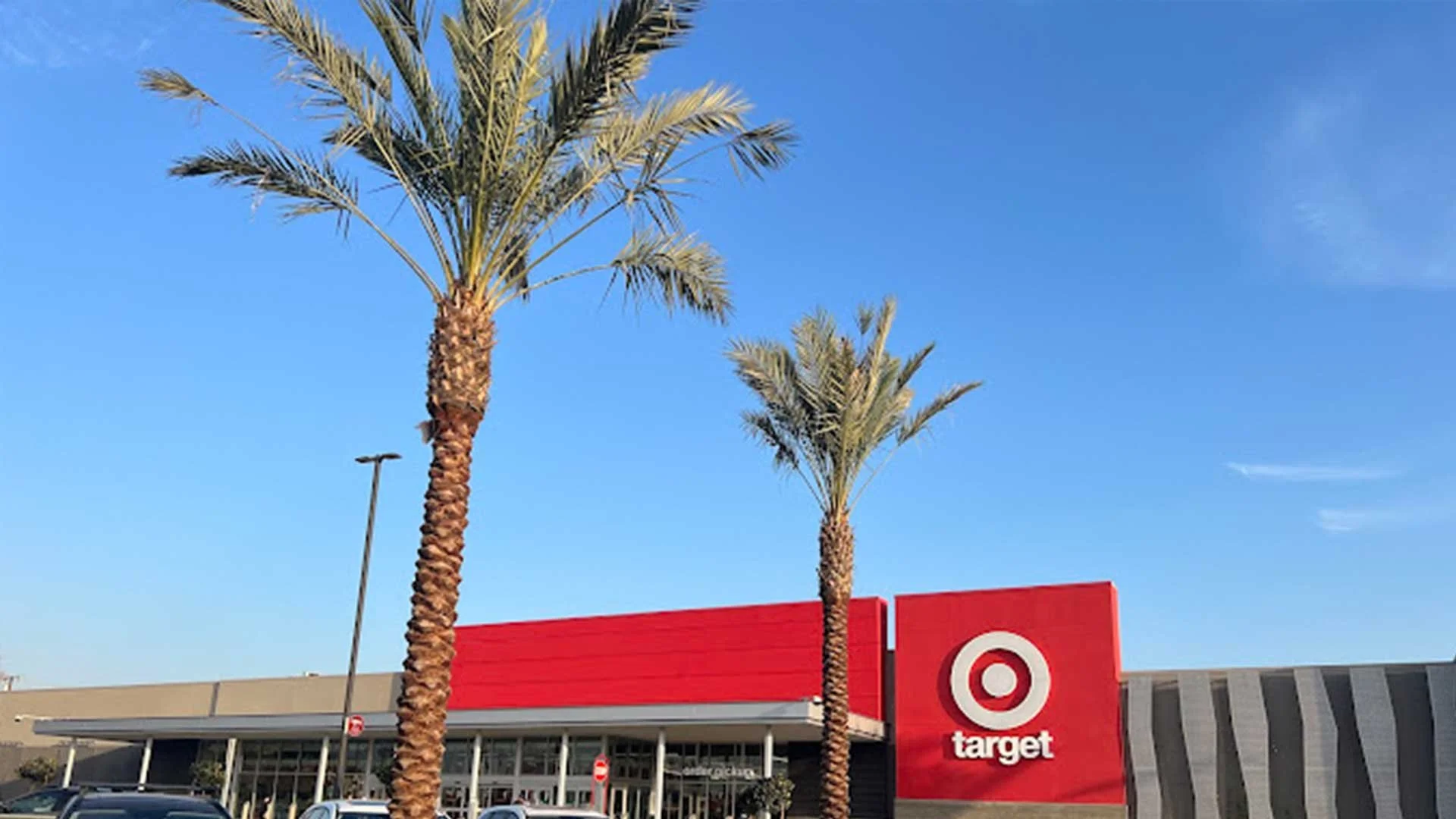 Date Palms (Phoenix Dactylifera) delivered to Target in Los Angeles