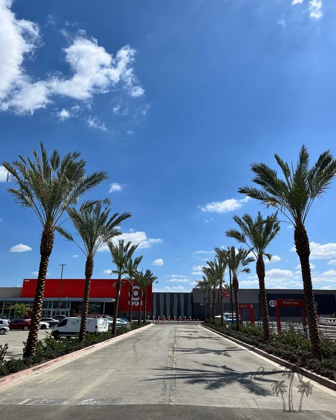 Date palms from Coastline Palms trees, Commercial installation available. Target Shopping Center