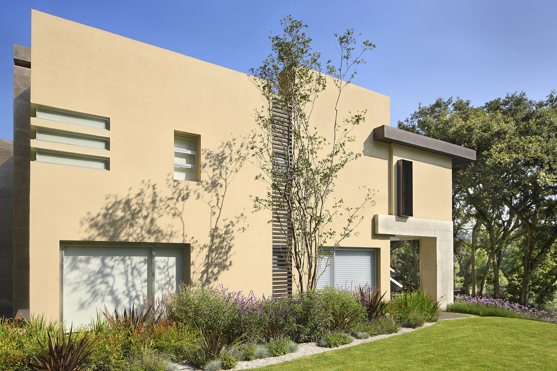 JARDIN 06_0003.jpg
