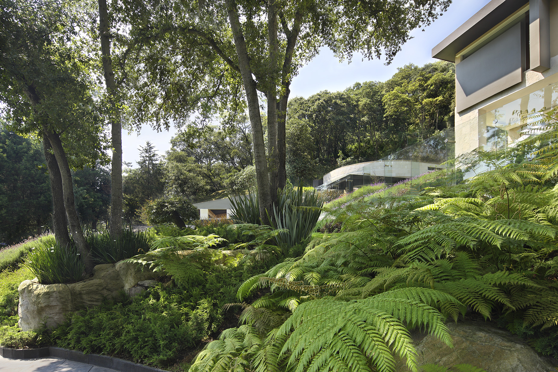 JARDIN 10_0013.jpg