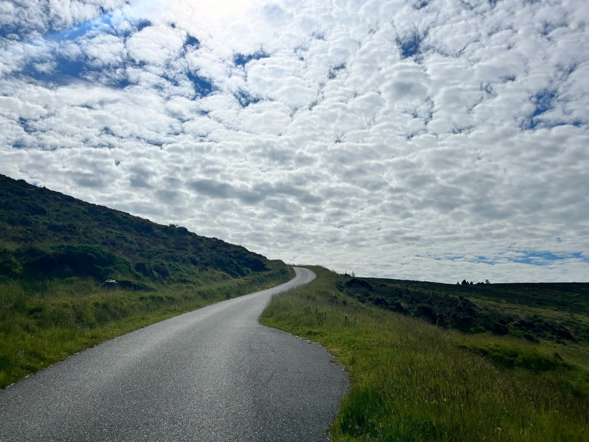 A winding road through rolling green hills beneath a blue sky.