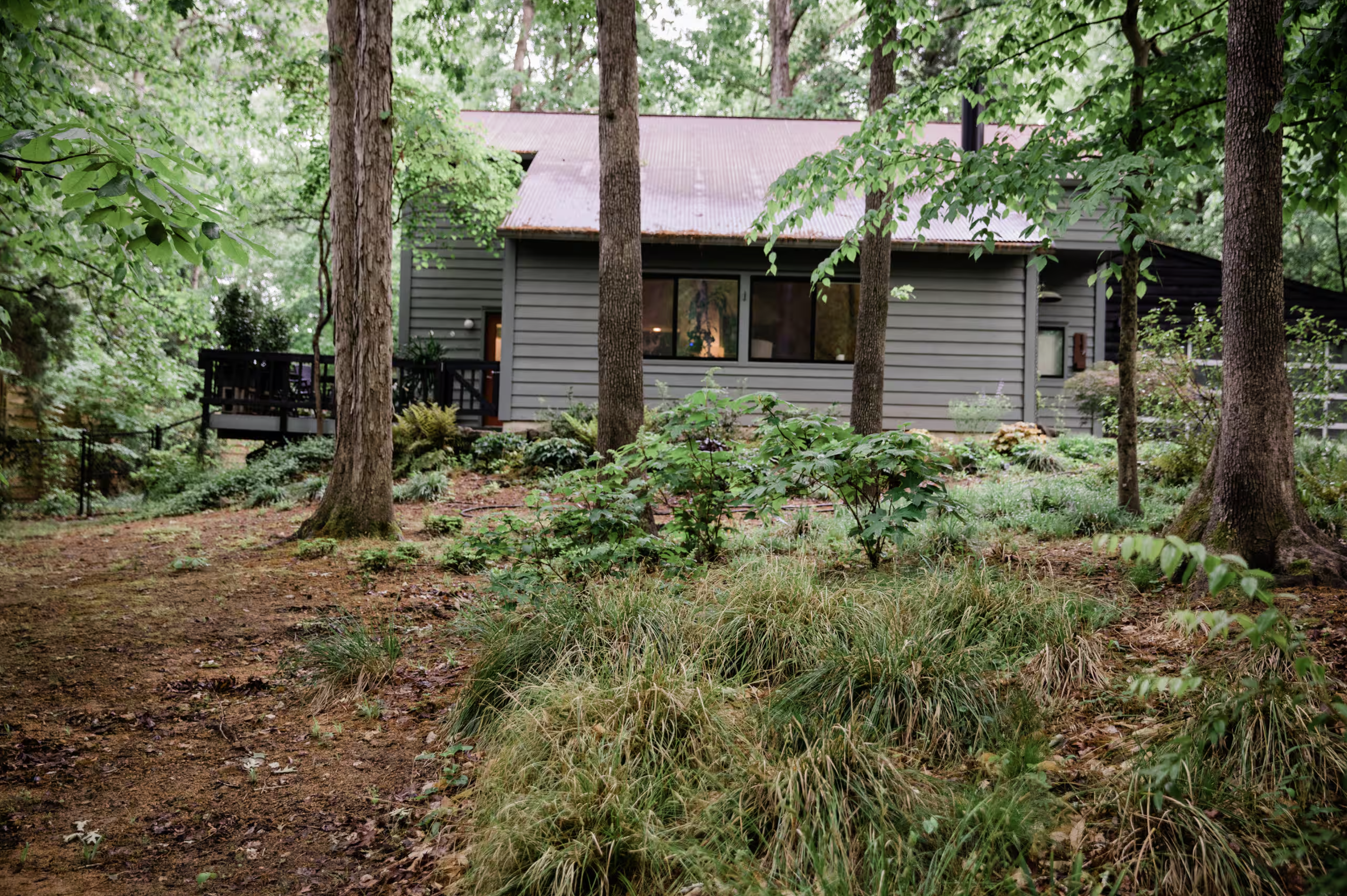 A backyard with tall trees, green foliage, and a small house with gray siding and a metal roof, partially visible through the trees.