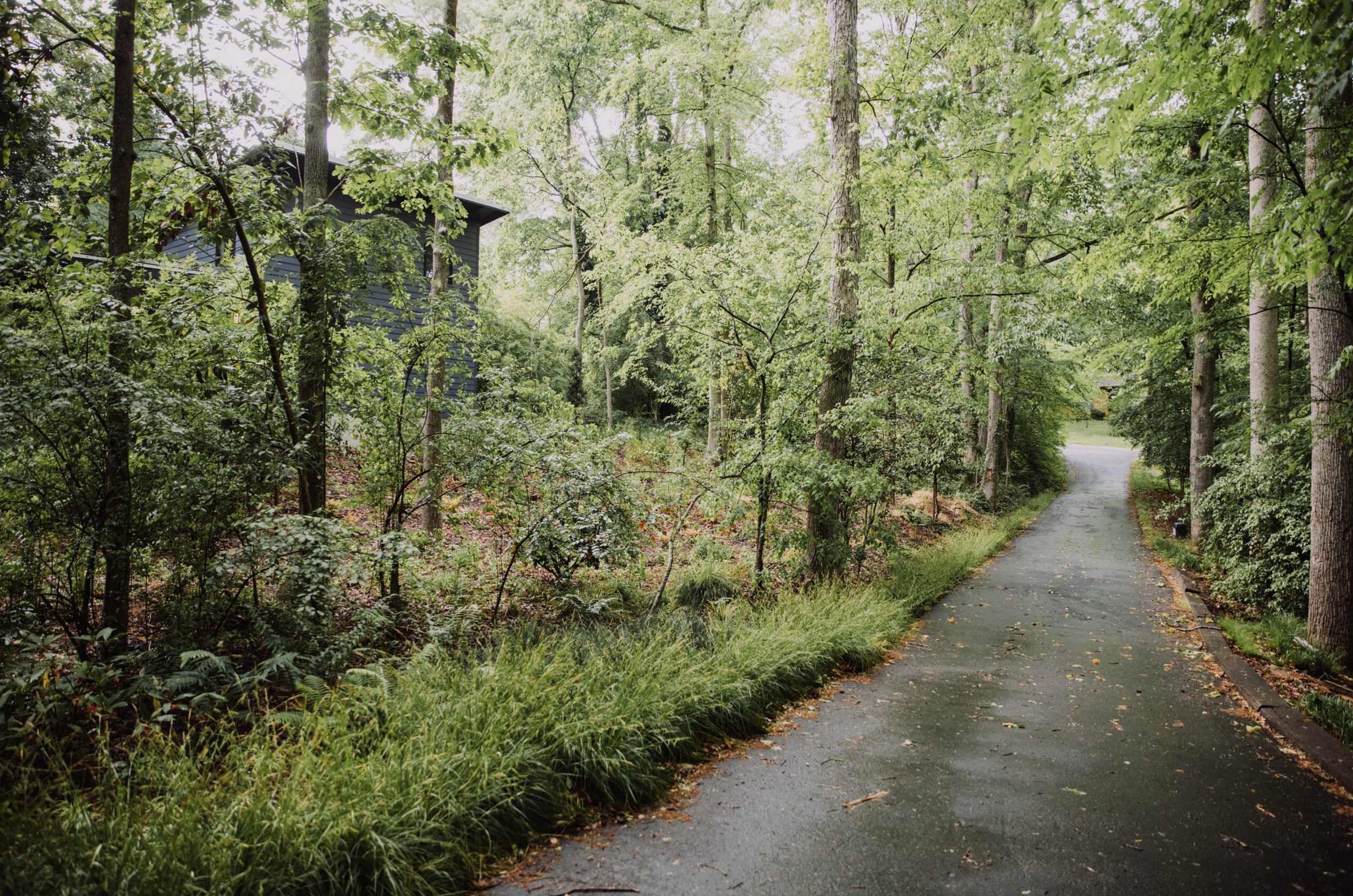 A narrow paved pathway through a green wooded area with trees on either side and a house partially visible among the trees on the left.