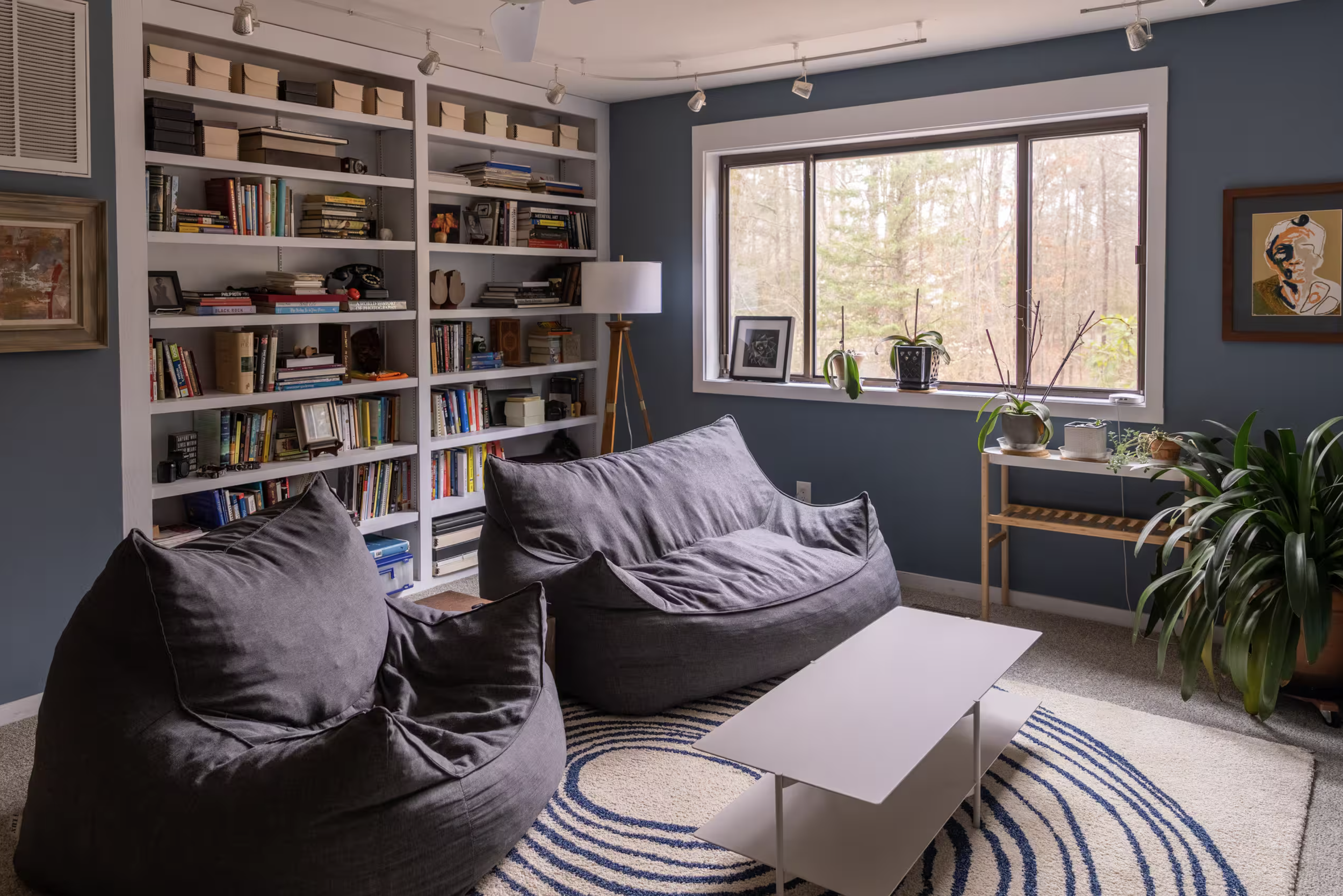 Inside a living room with blue walls, a large window showing trees outside, a white bookshelf filled with books and decor, a tall floor lamp, plants on a small table, and dark gray sofas on a circular striped rug.