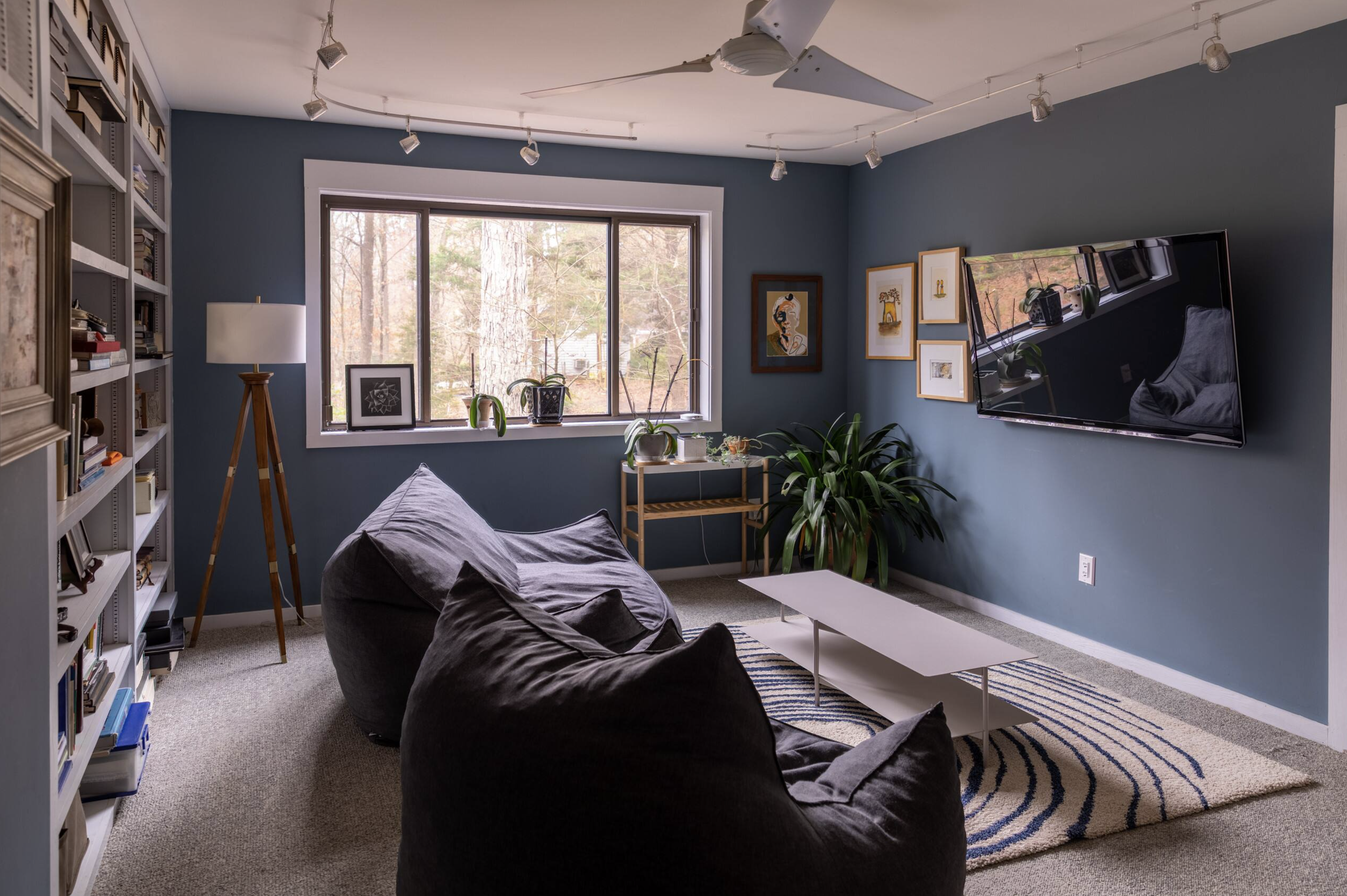 A cozy living room with dark blue walls, a window with a view of trees, a large flat-screen TV mounted on the wall, a bookshelf filled with books, a gray couch with pillows, a wooden side table with potted plants, a striped rug, and a white coffee ta