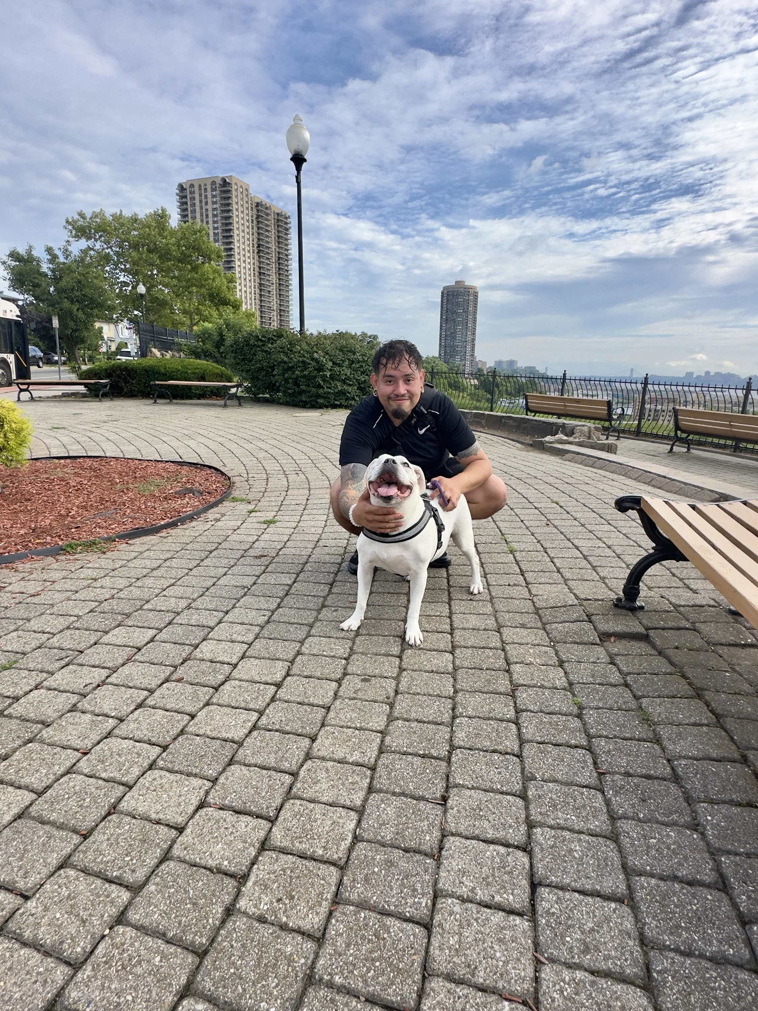 A dog walker spending quality time with a happy dog during an outdoor adventure in the park.