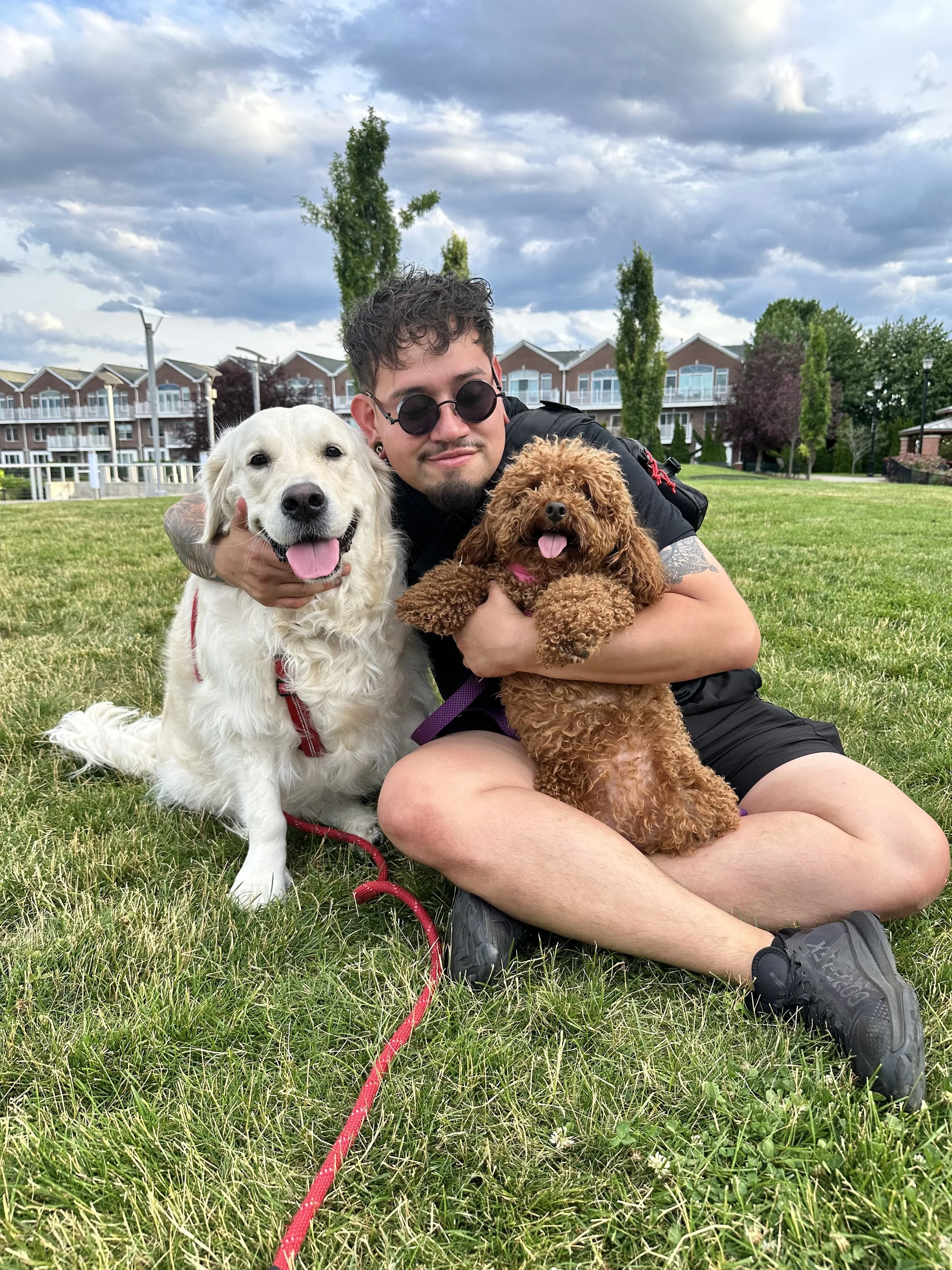 A dog walker spending time outdoors with two happy dogs in a grassy park.