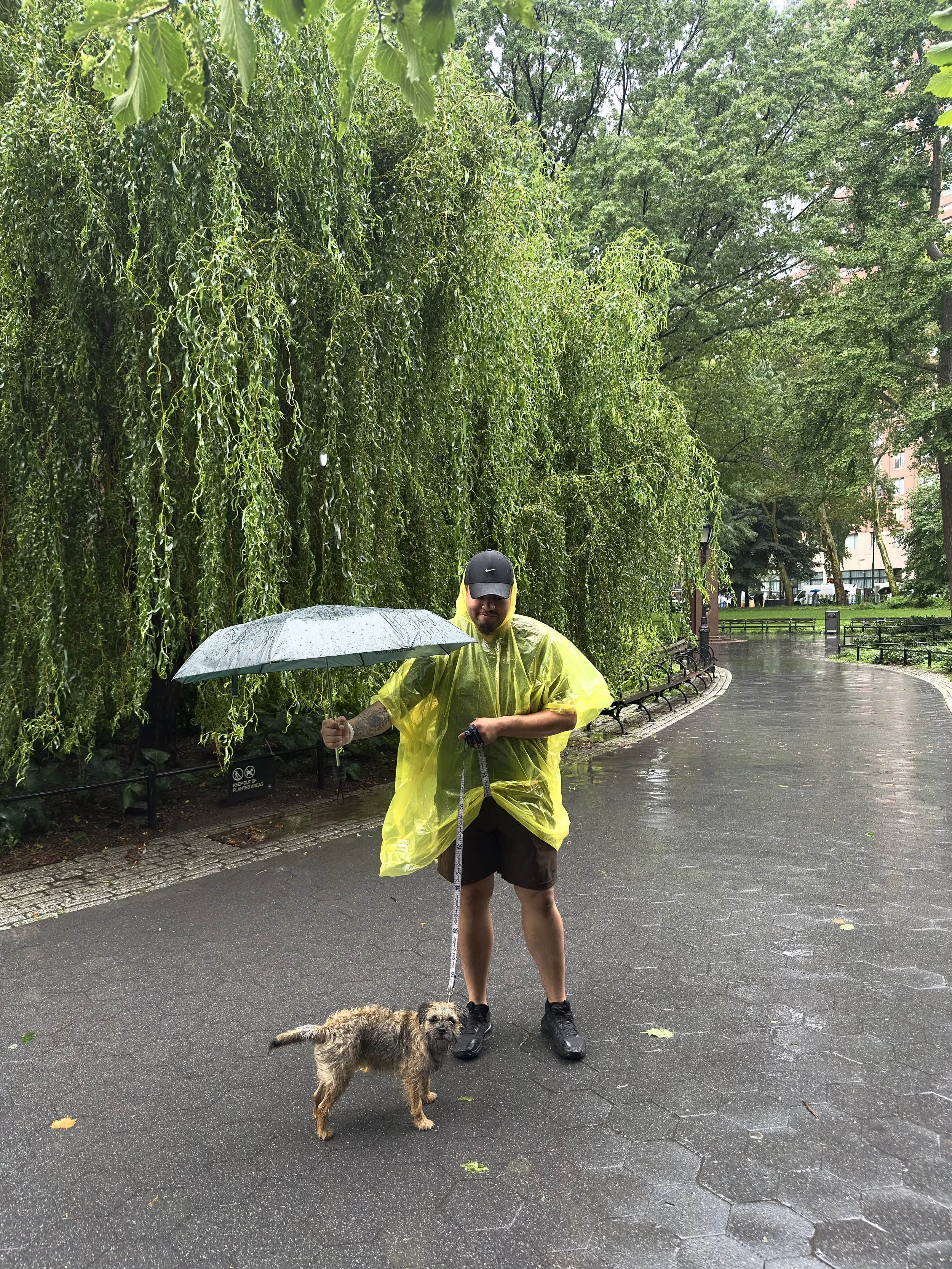 Dog walker taking a small dog for a walk on a rainy day.