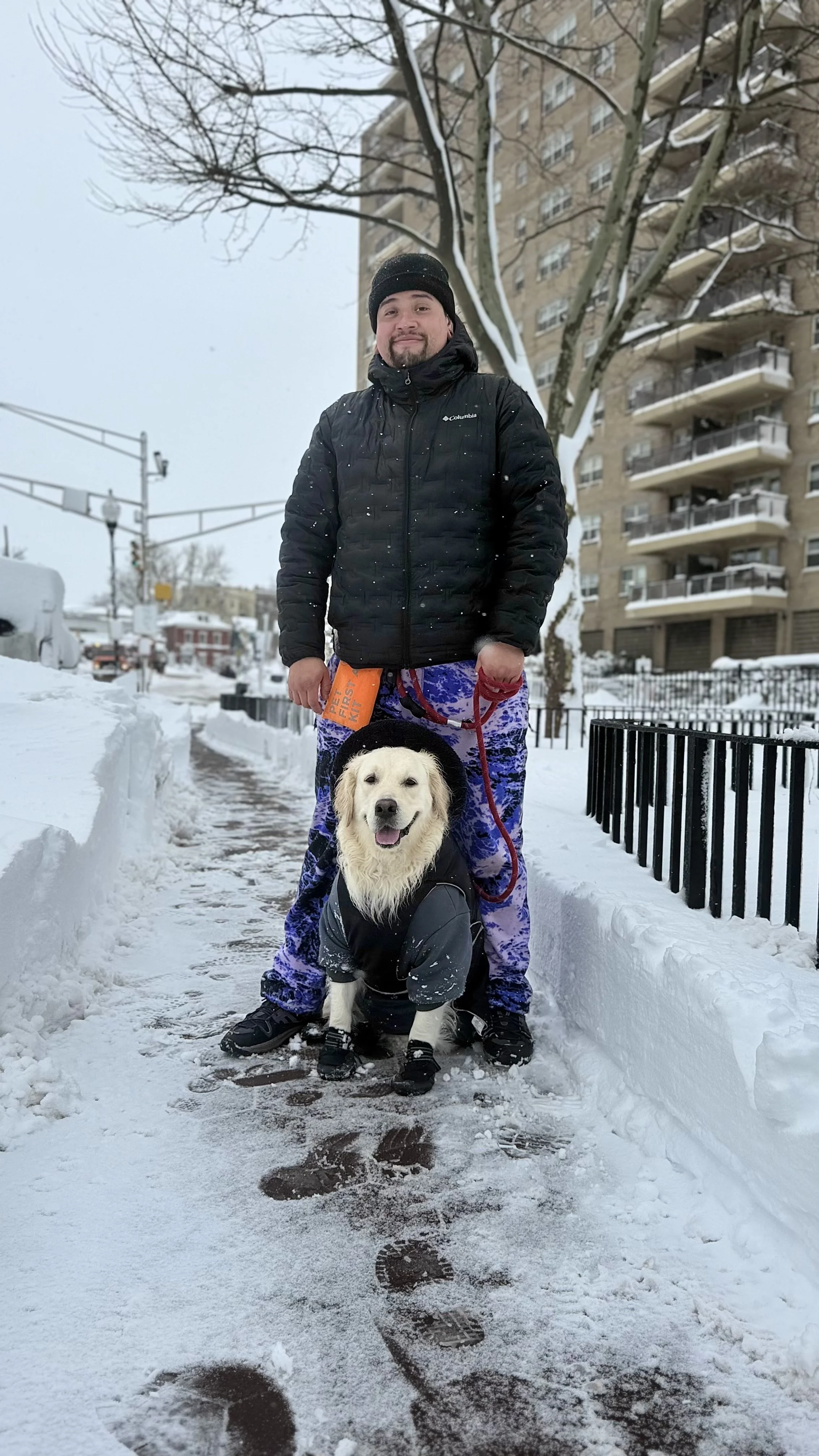 Dog walker caring for an English cream golden retriever during a snowy winter walk.