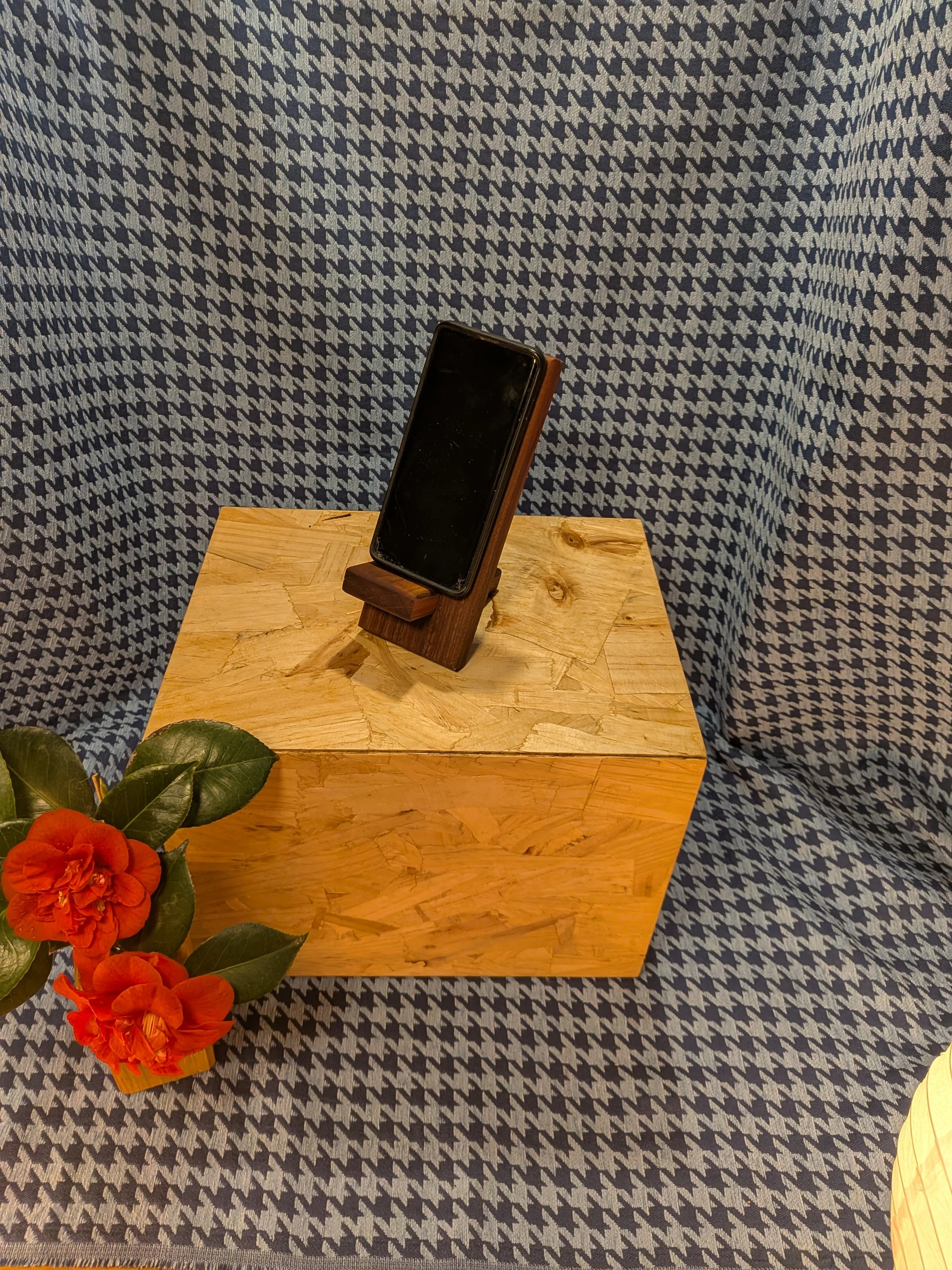 PXL_20261001_062834856.jpg