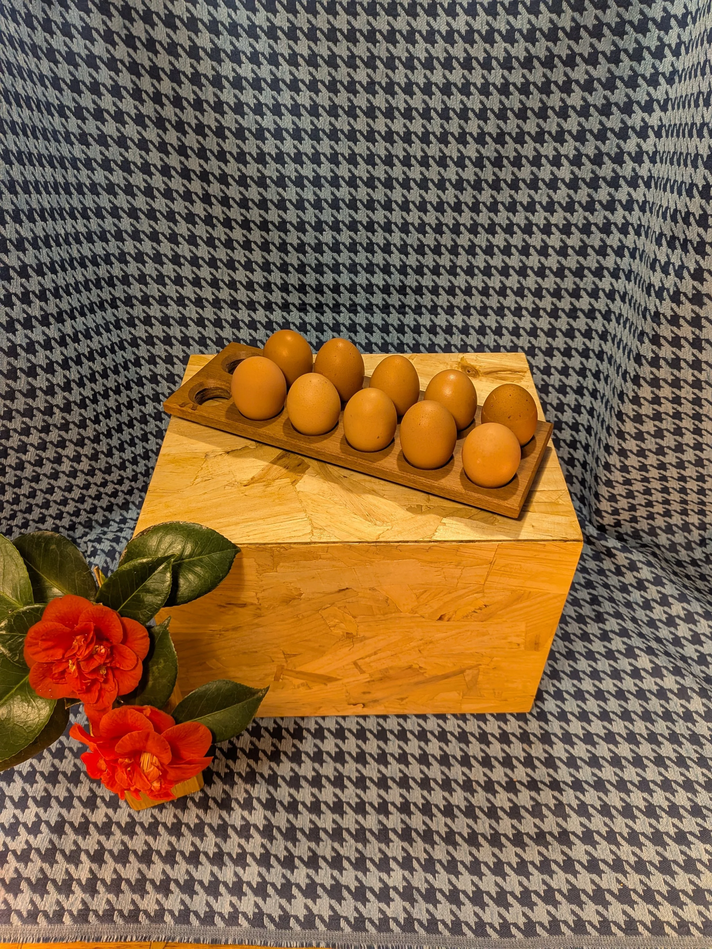 Egg Tray
