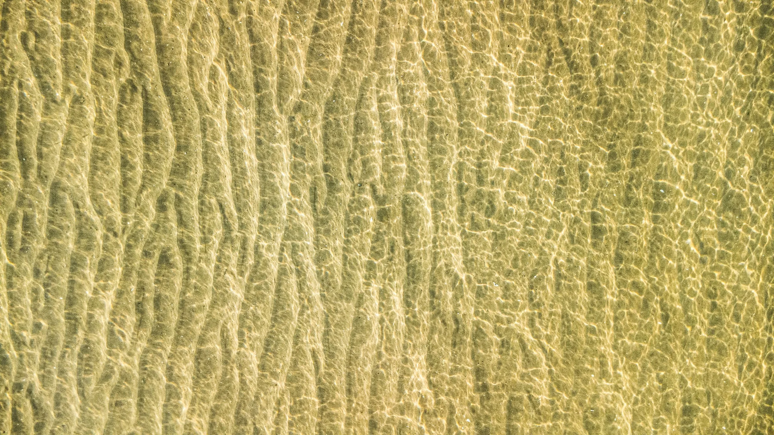God's Fingerprint