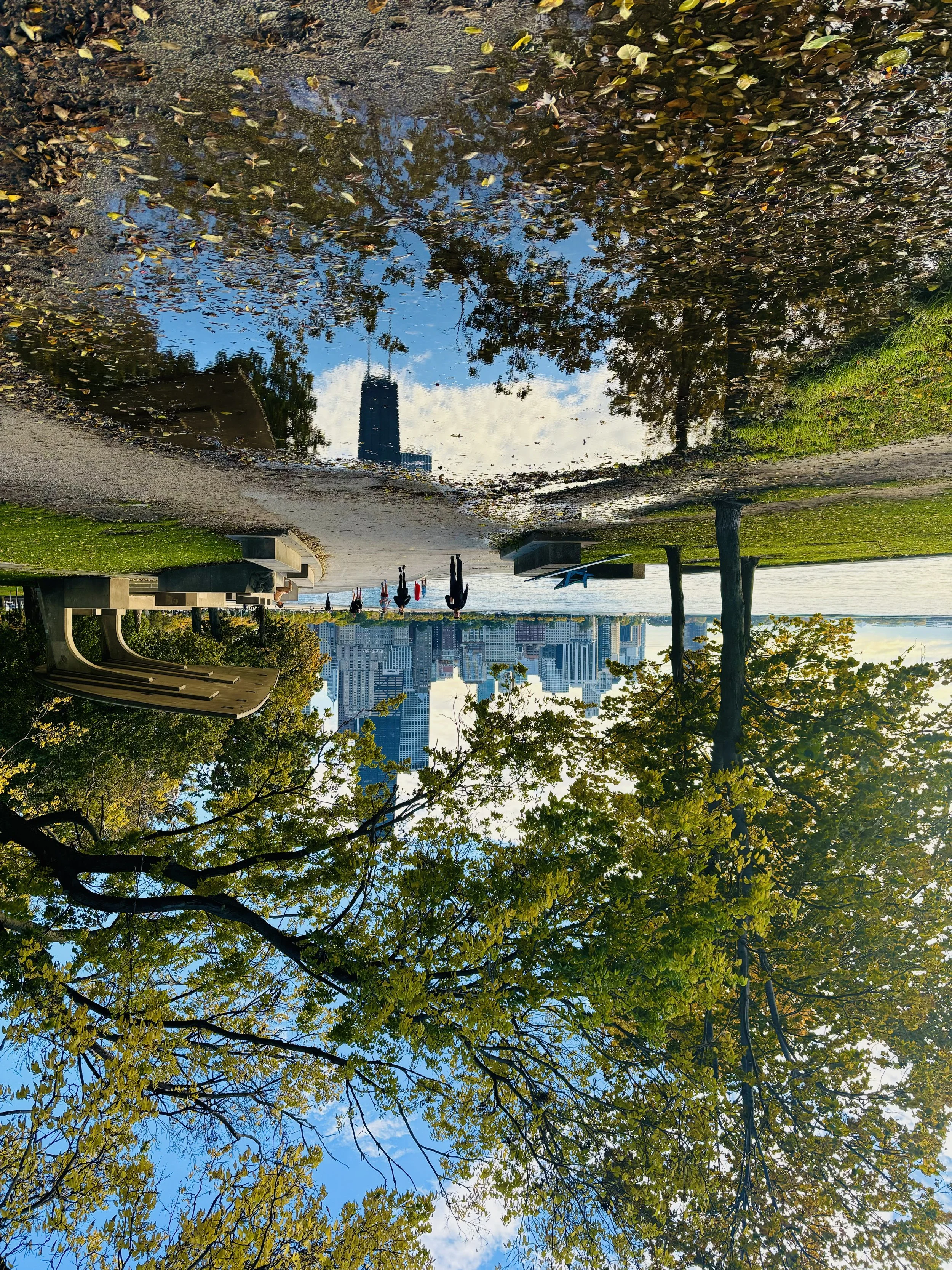 Lakeside Perspective