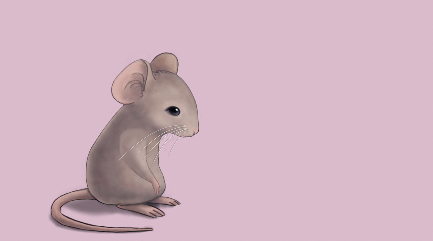 The Quiet Mouse